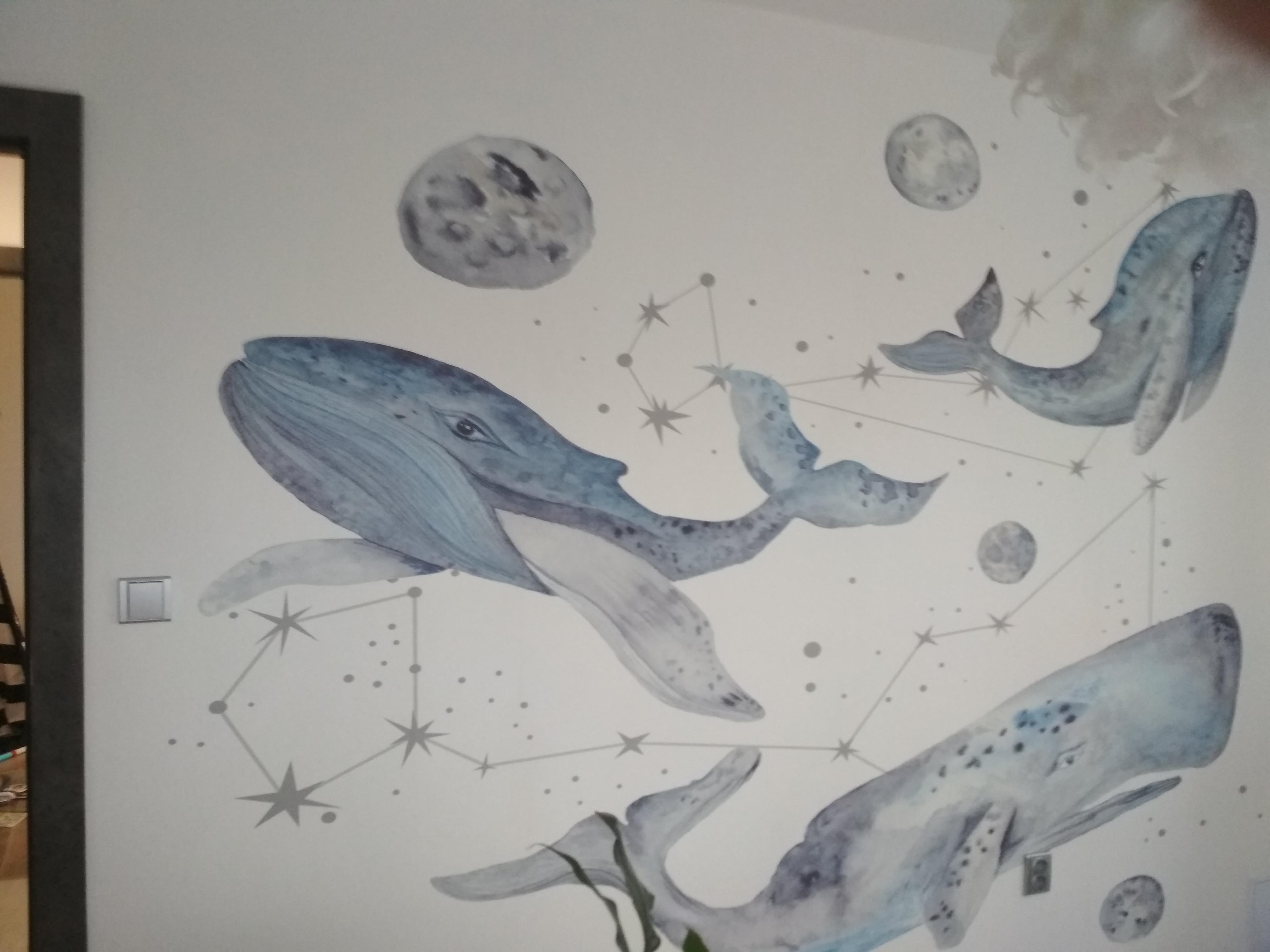 Pavel Jandus - tapetářské práce foto 2