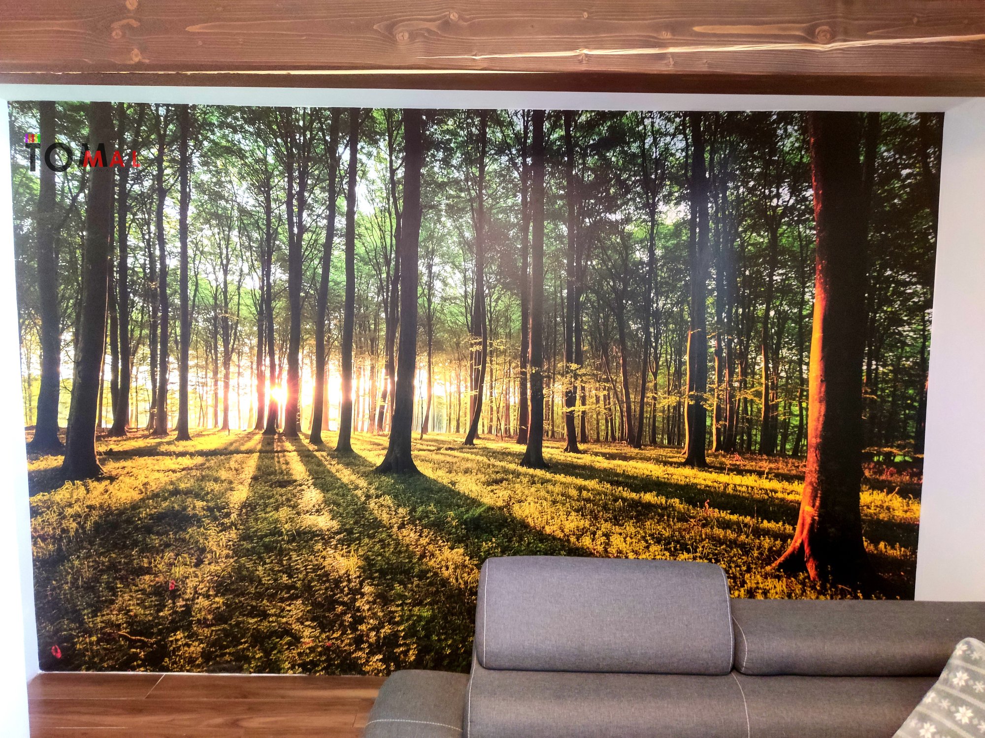 ToMal - malování a tapetování foto 3