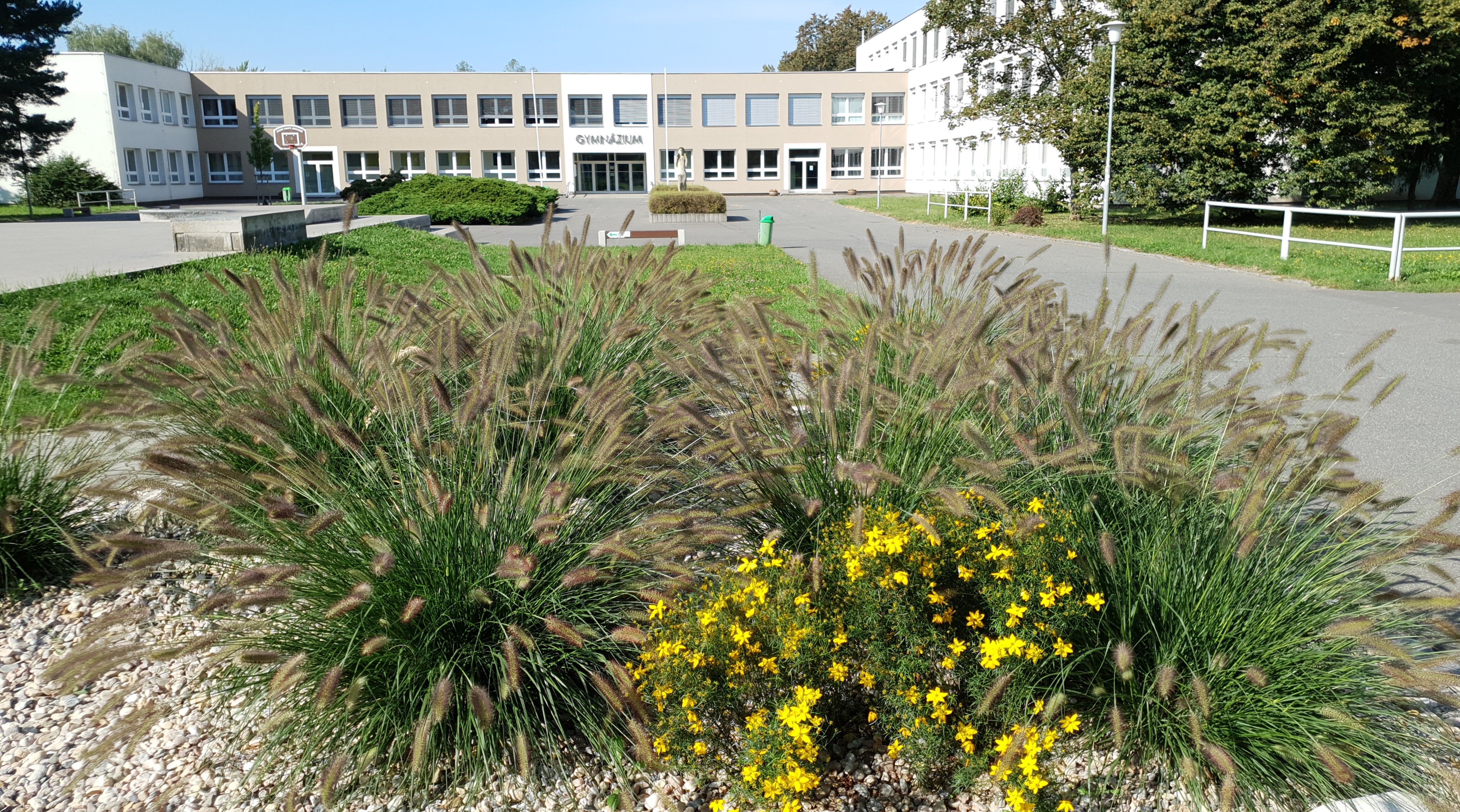 Gymnázium Pardubice, Mozartova foto 4