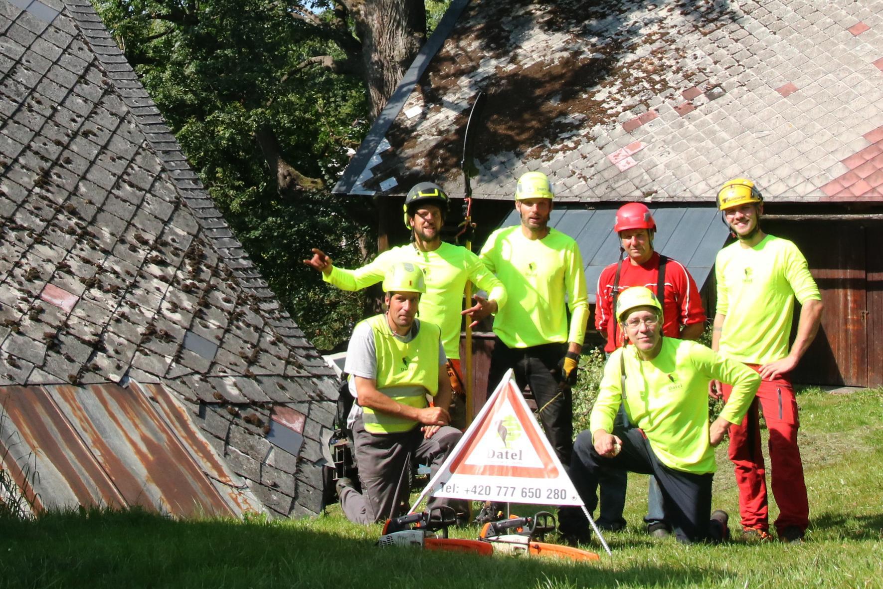 Datel - Odborná péče o stromy foto 1