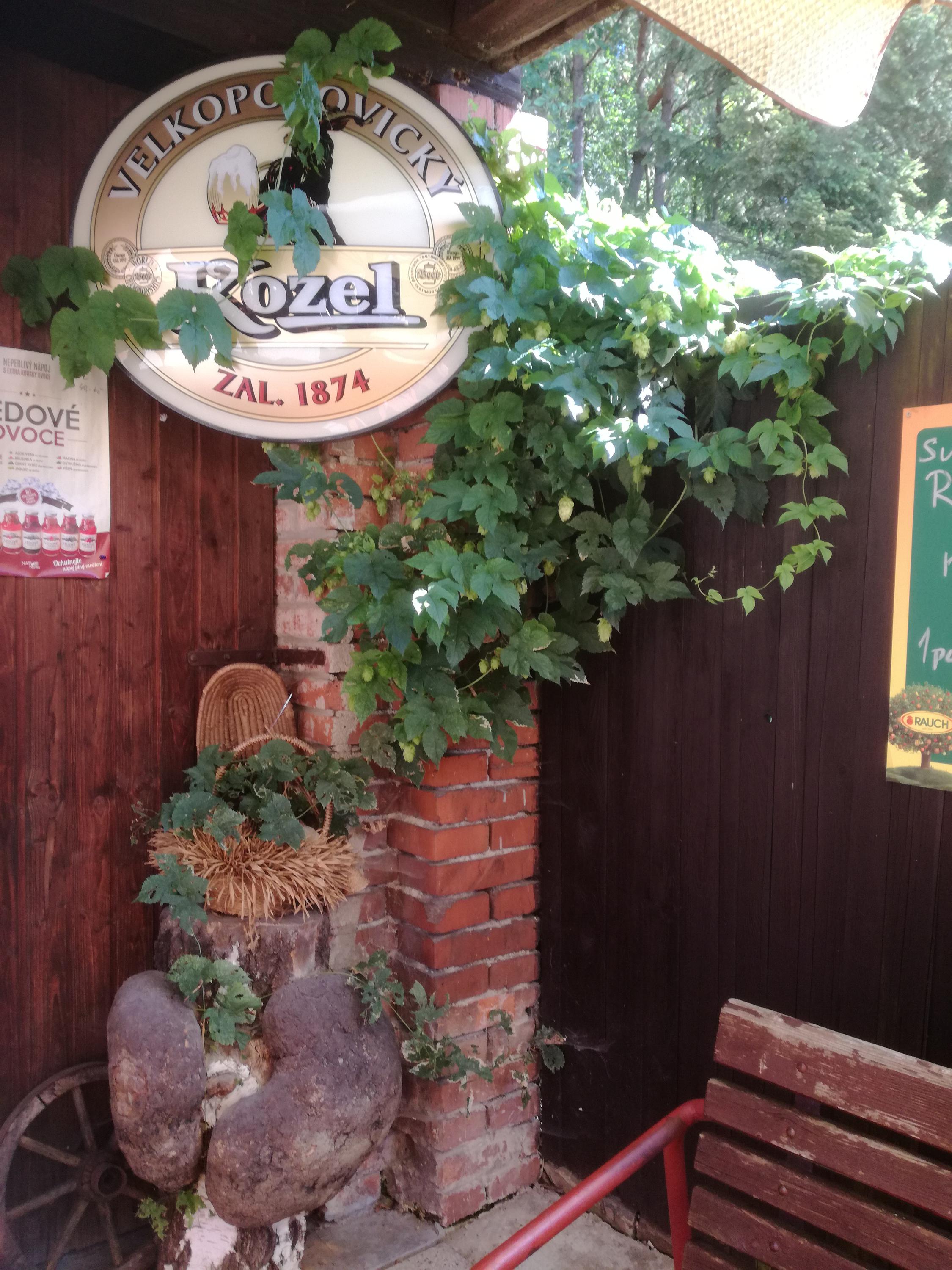 Letní výčep ČEKYŇKA foto 2