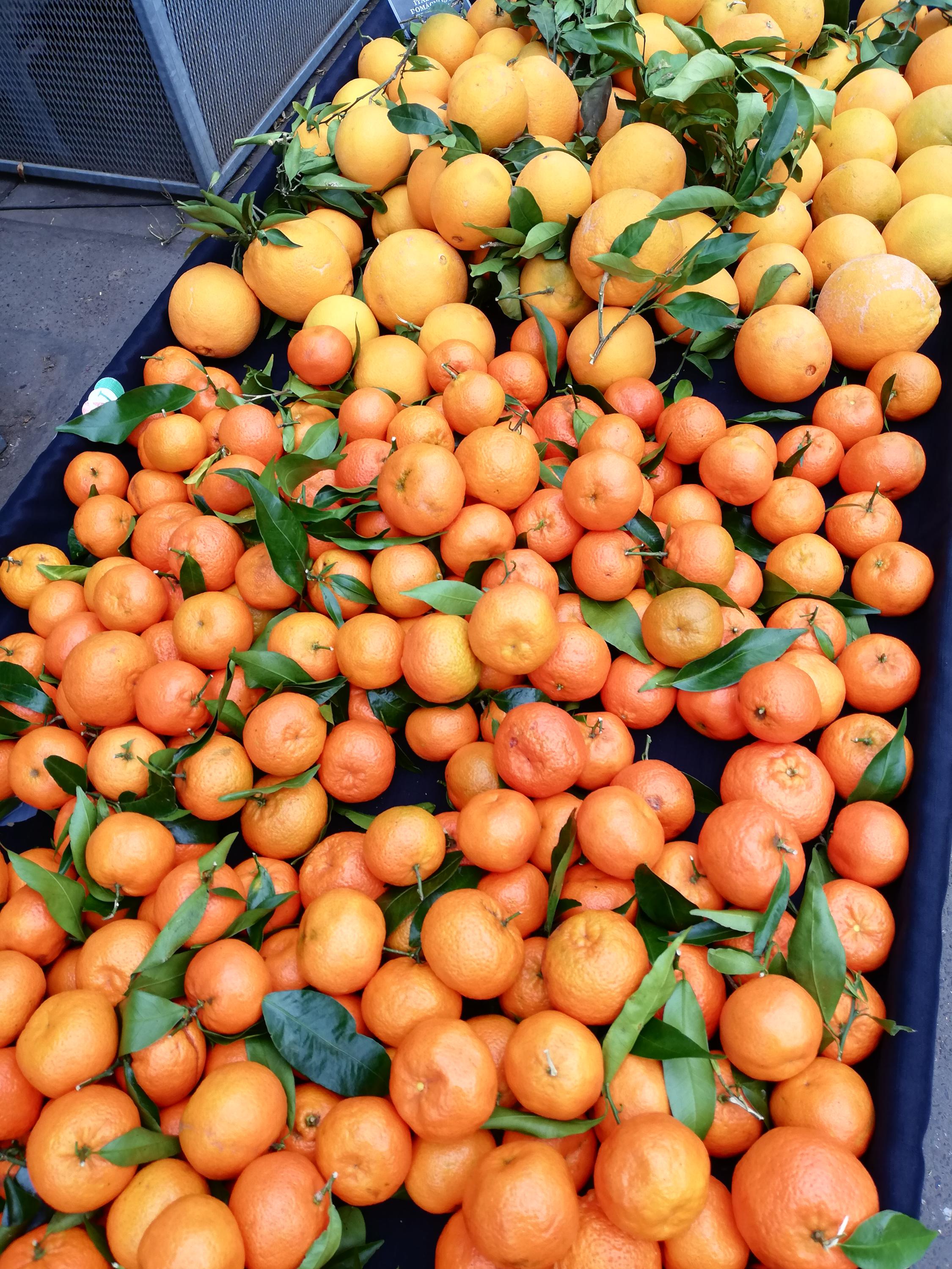 italska-domacnost.cz foto 6