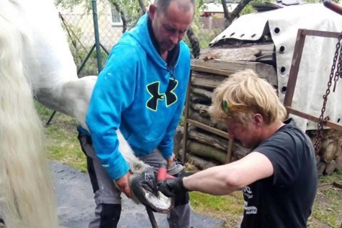 Kovářství a podkovářství Bc. Petr Adamec