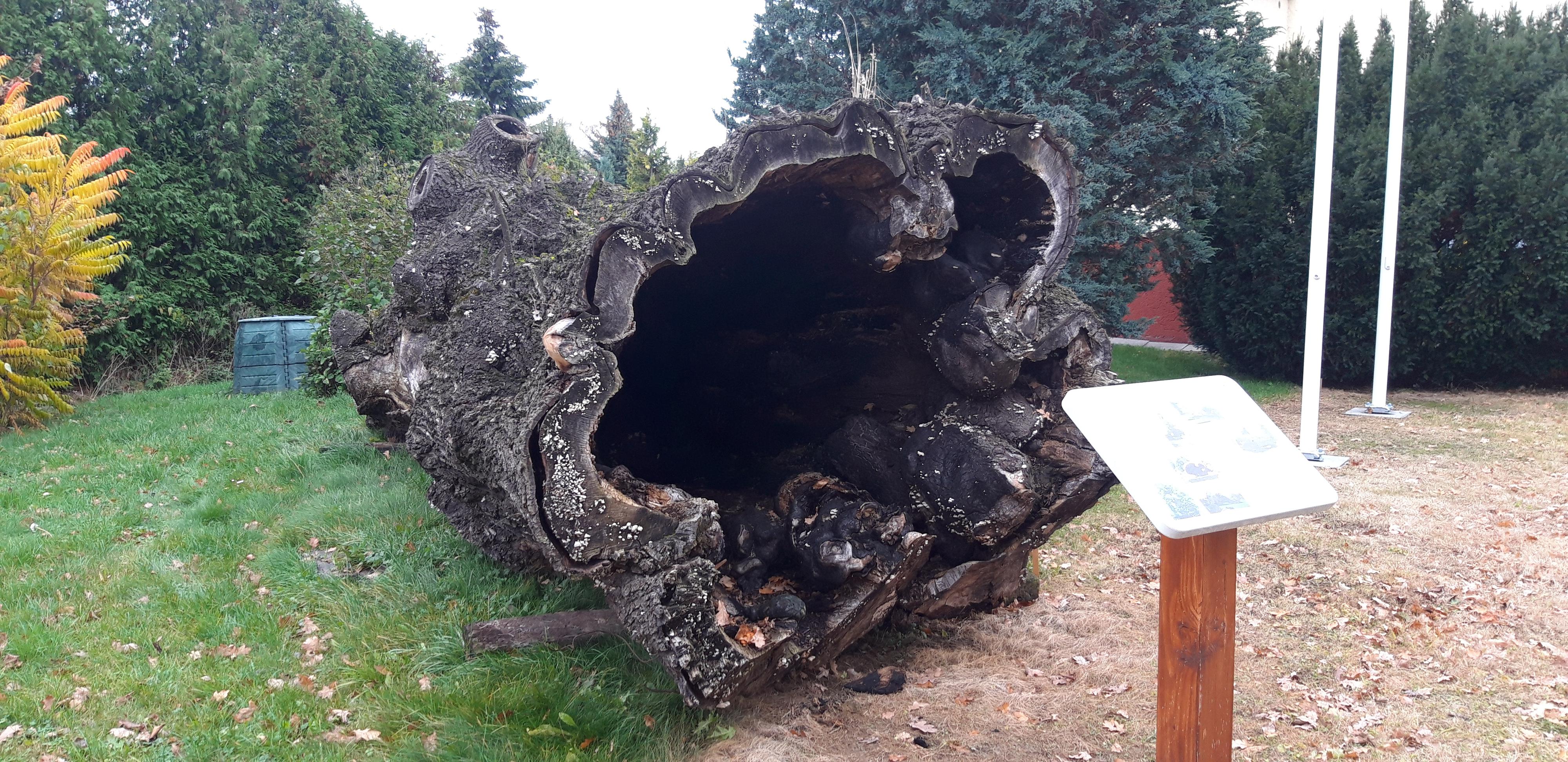 Raškovice - obecní úřad foto 3