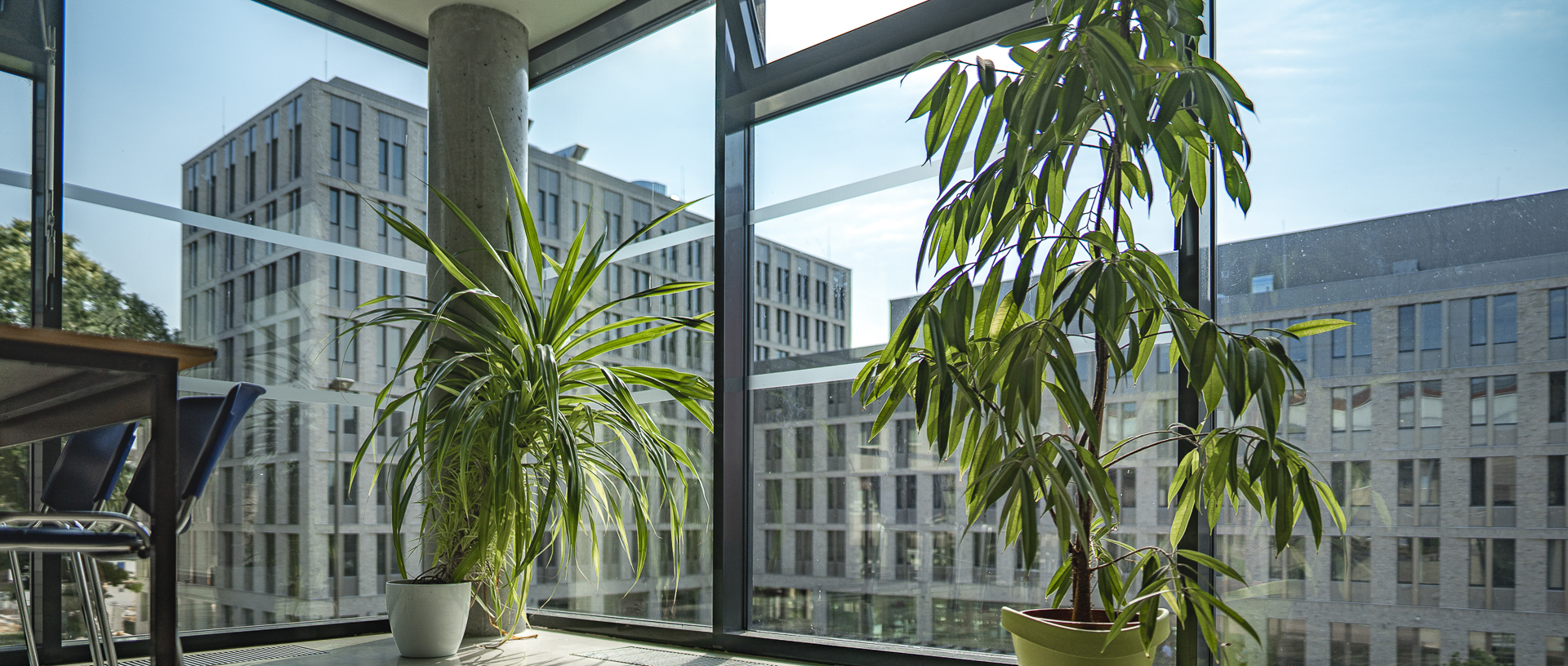 Univerzita Jana Evangelisty Purkyně - Fakulta životního prostředí foto 2