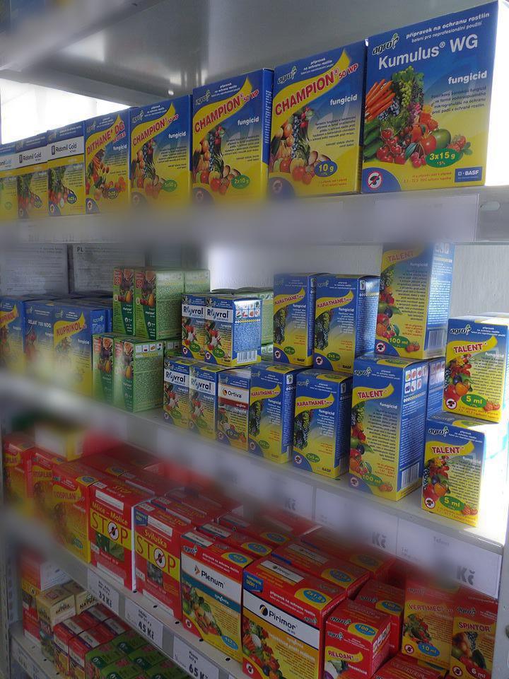 Ovocné a okrasné školky foto 1