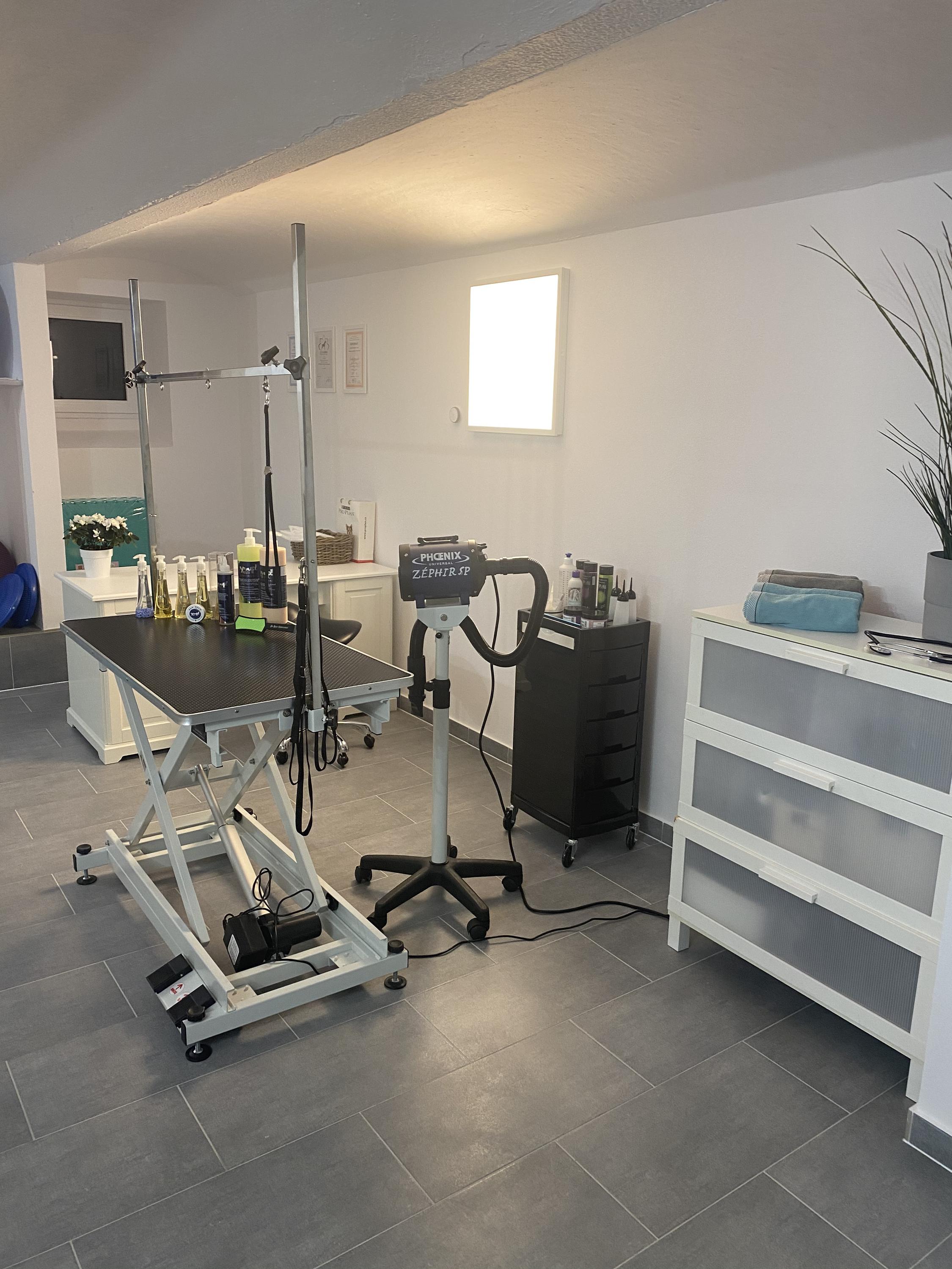 Moudrá péče o zvířátka - Lenka Moudrá foto 4