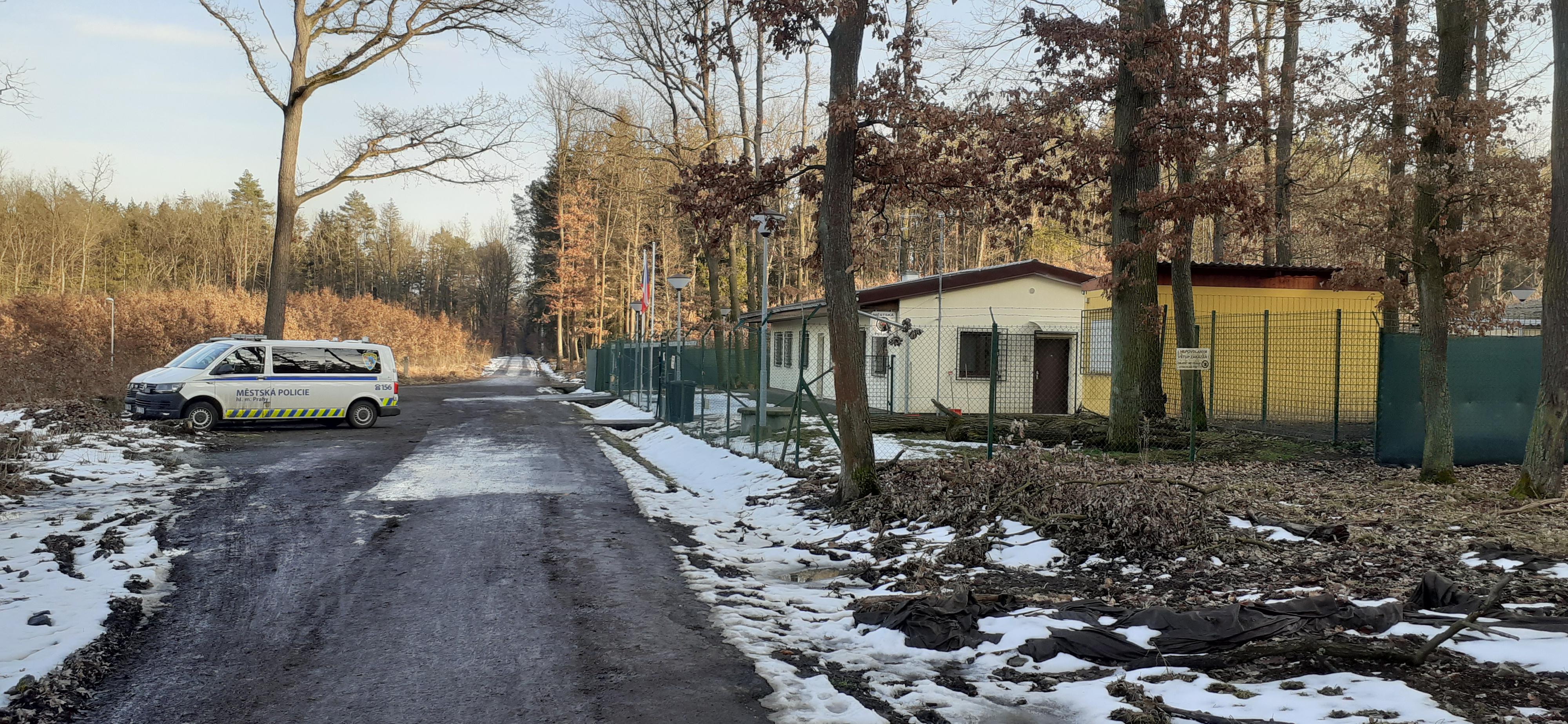 Městská policie hl. m. Prahy - útvar psovodů foto 3