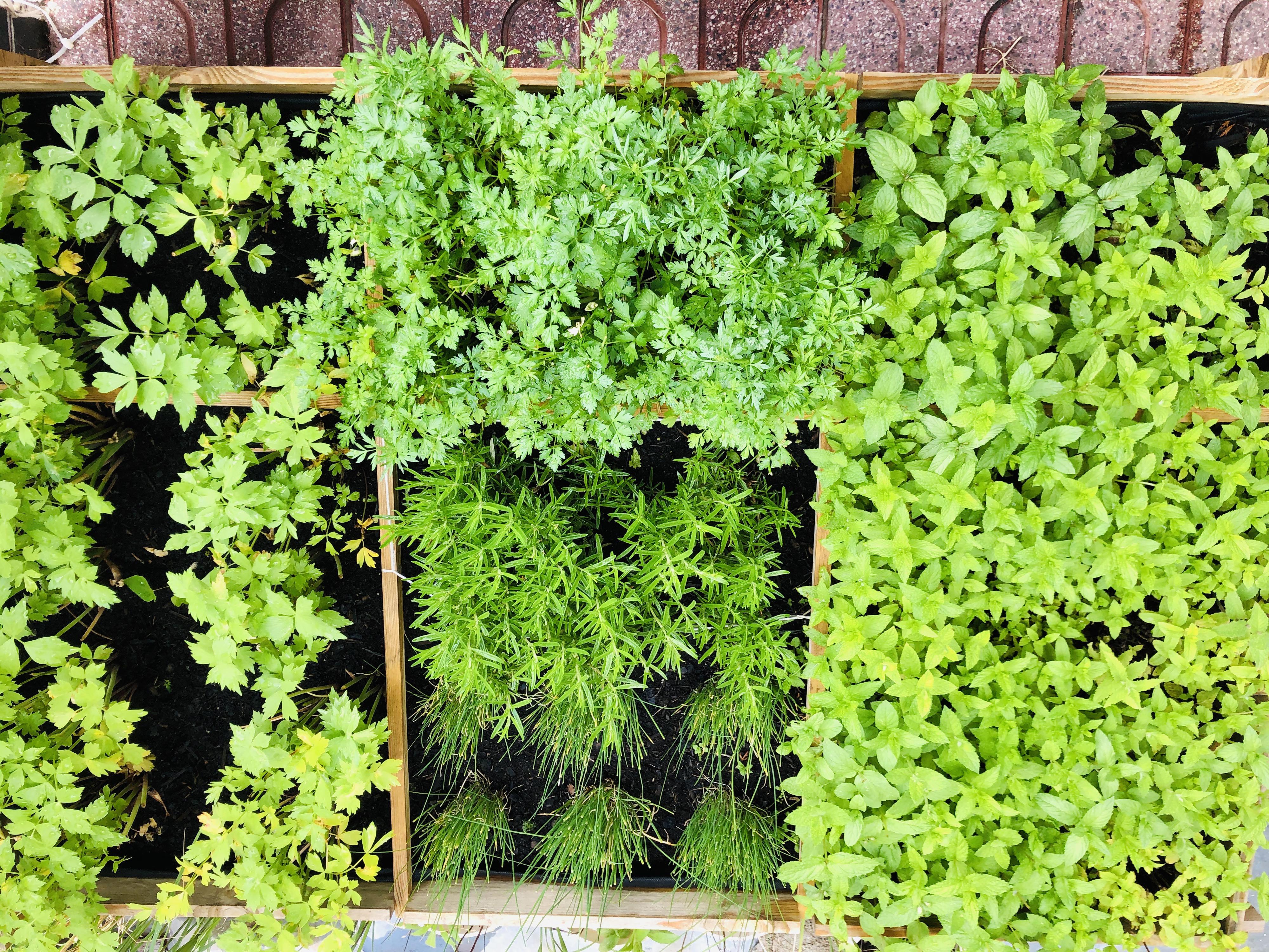 Pivnice Dukla & Bar Vagon foto 4