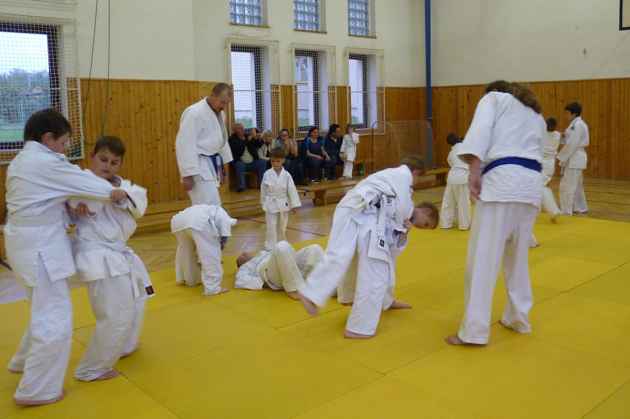 Judo Beskydy foto 1