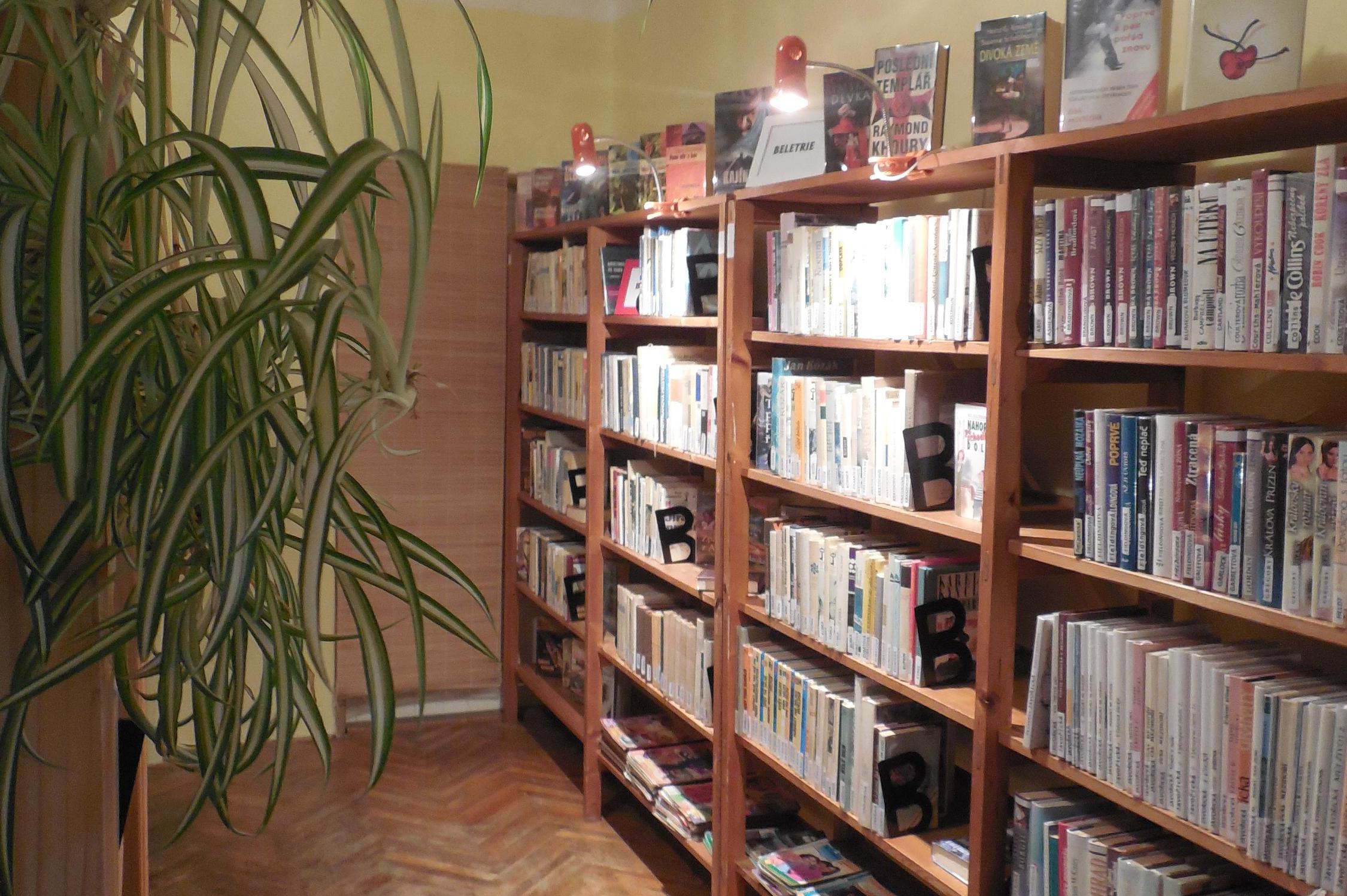 Obecní knihovna Oldřiš