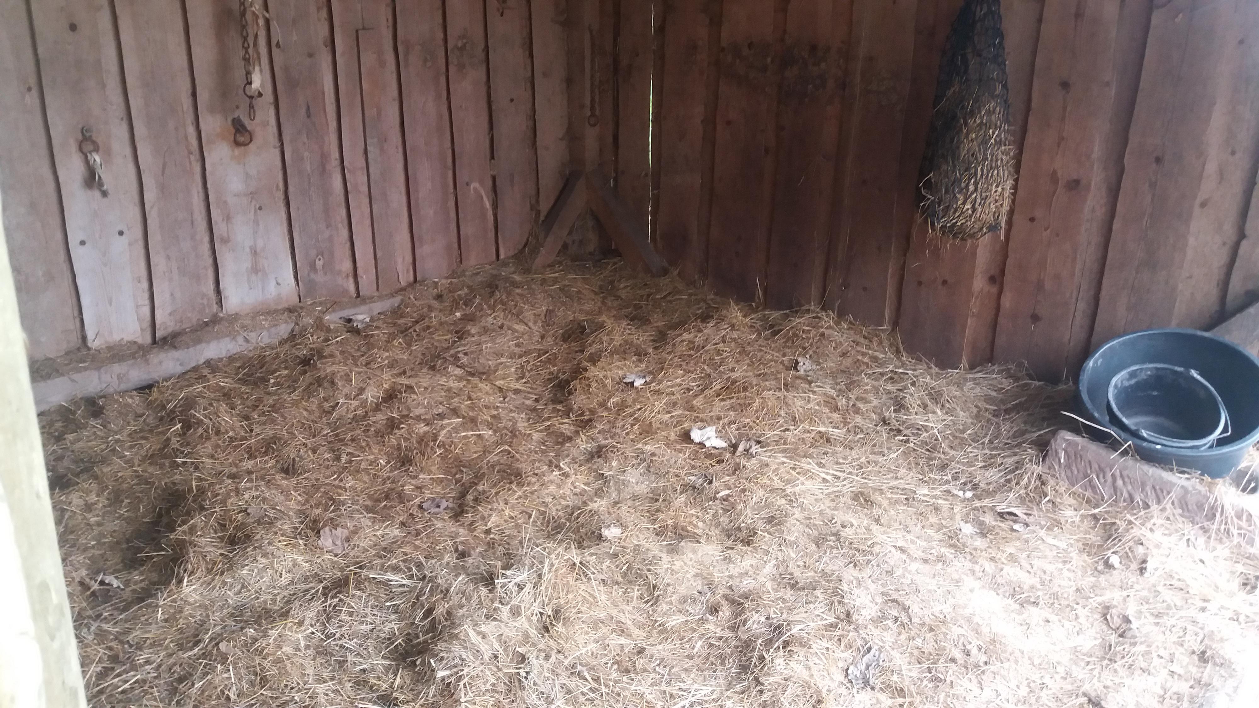 Ustájení koní Kněžice foto 4