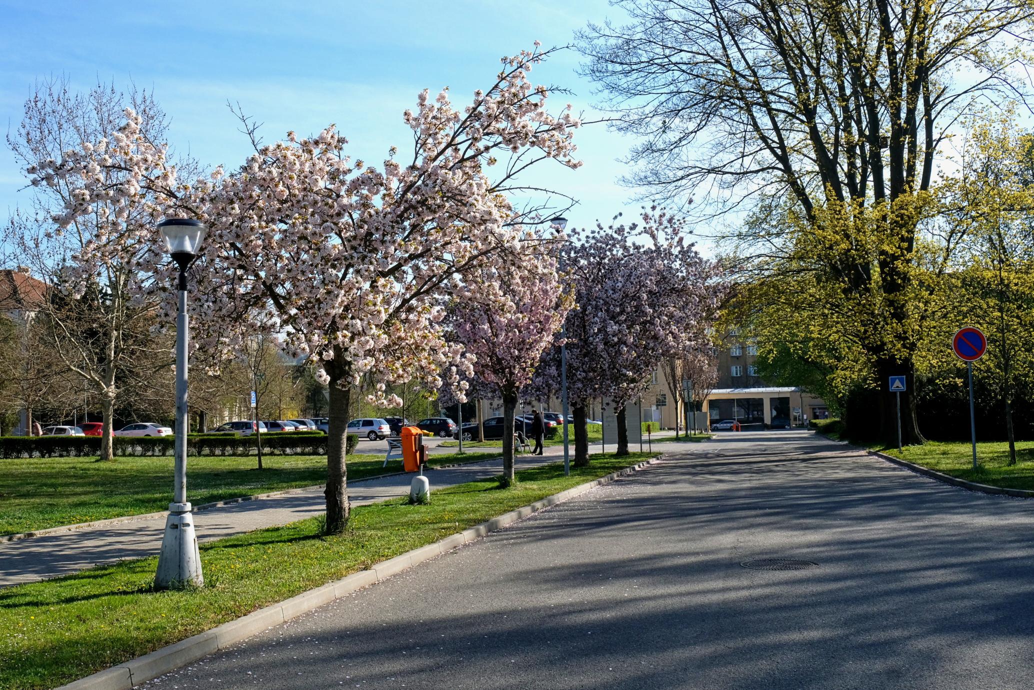 Veterinární univerzita Brno foto 6