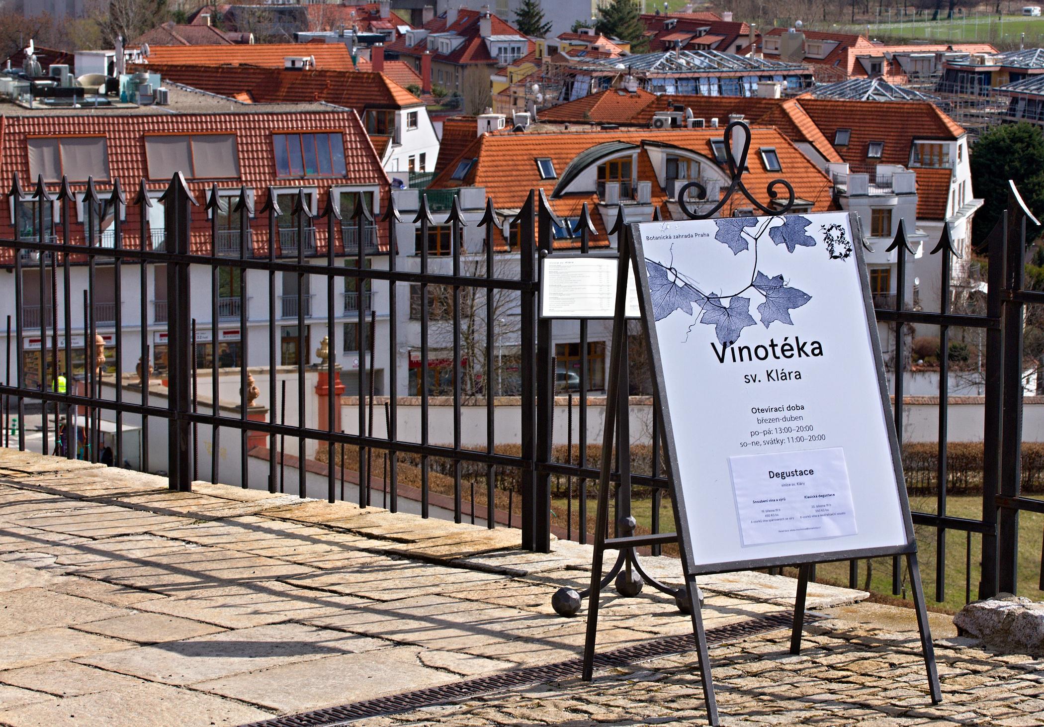 Vinice a vinotéka sv. Kláry - Botanická zahrada Praha foto 5