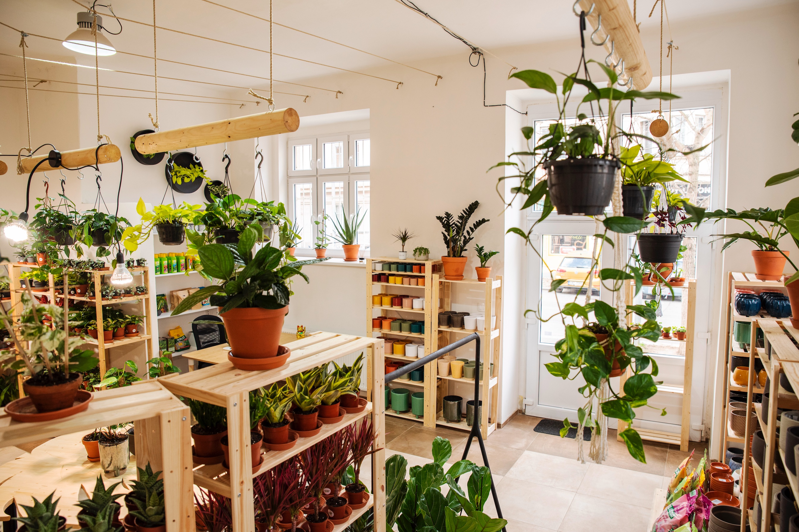 DMP - Dej mi pokojovku foto 4