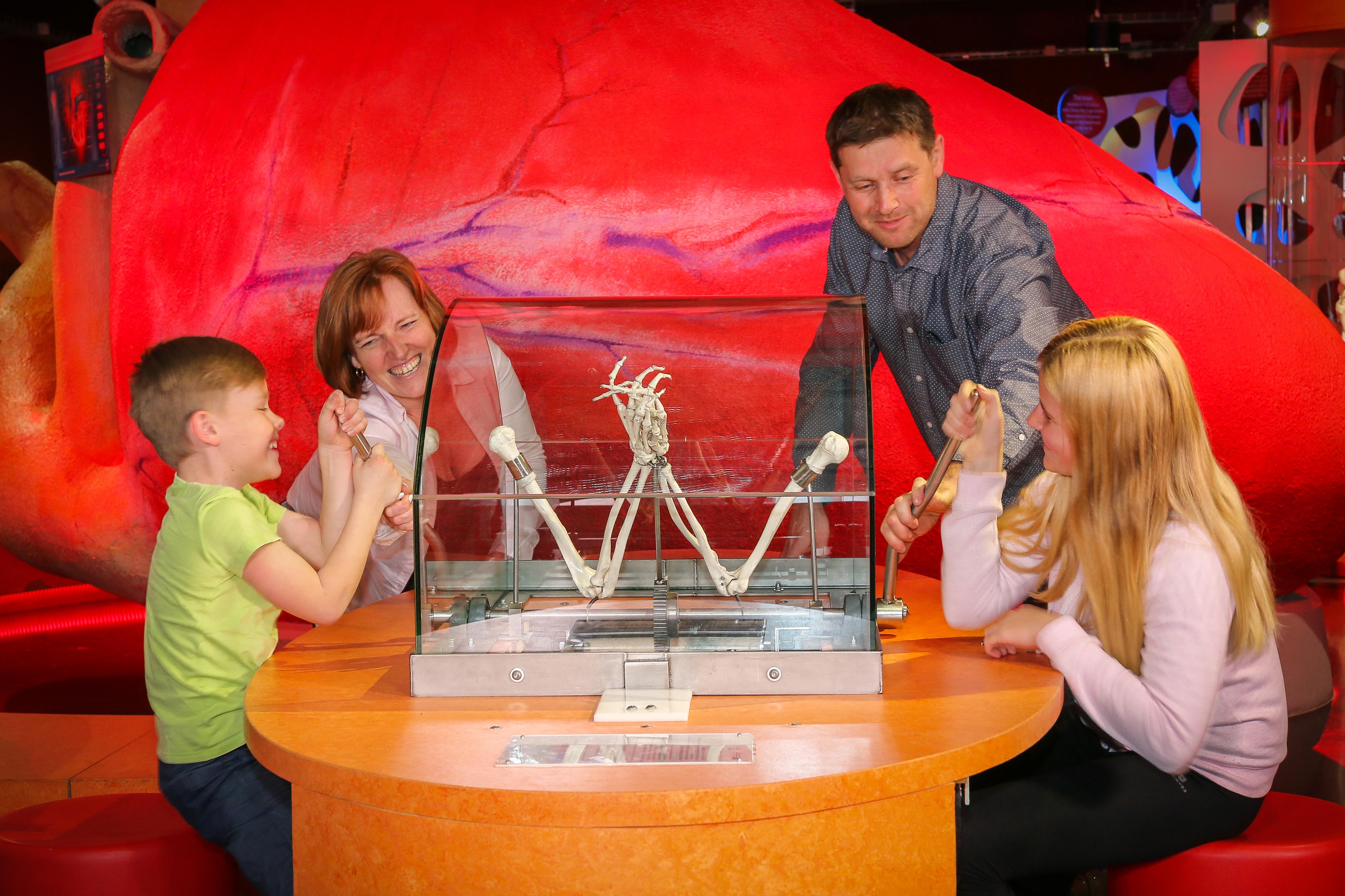 iQLANDIA Science center foto 3