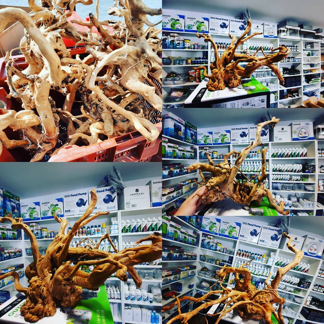 Akvaristika-24.cz foto 4