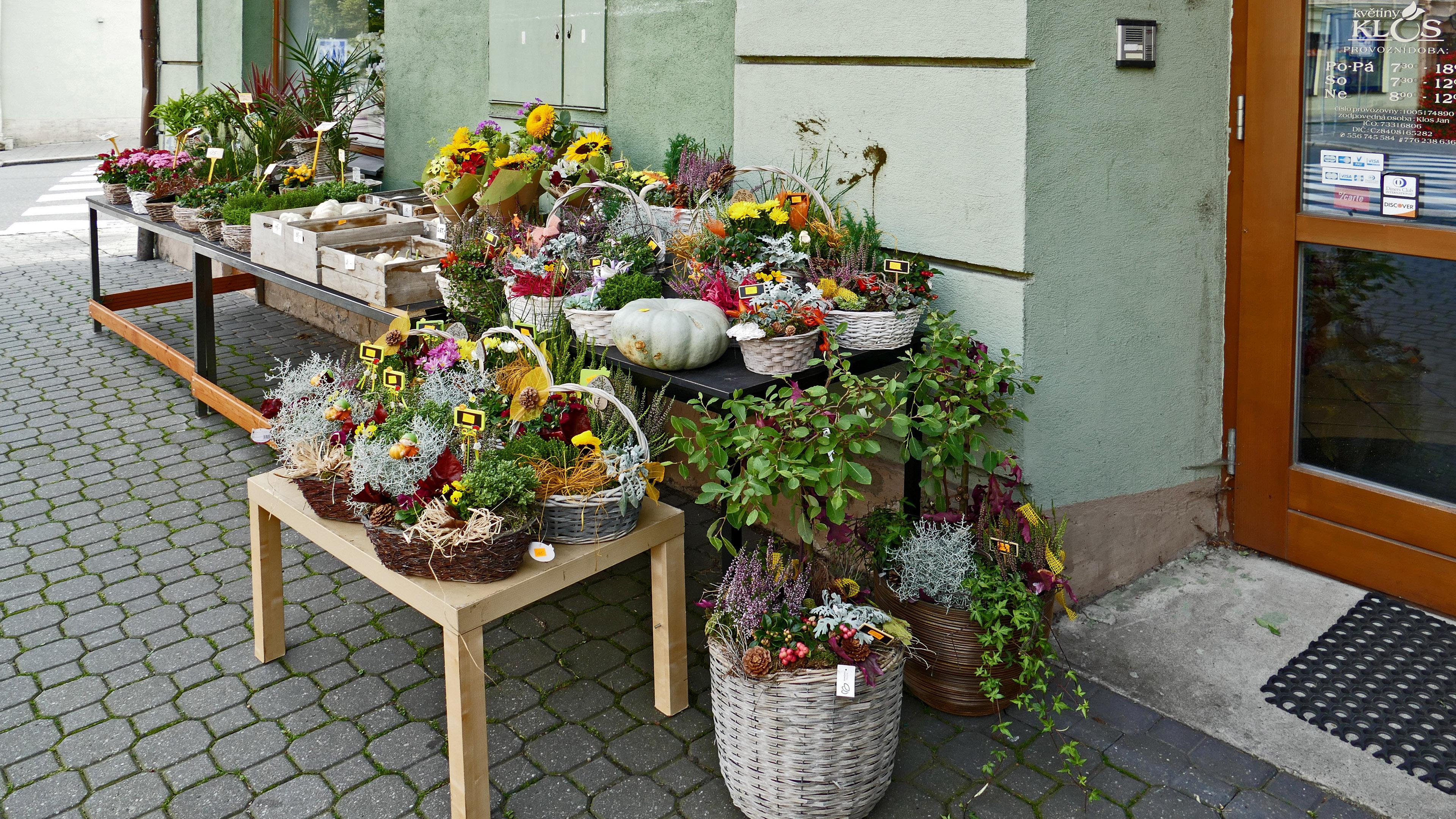 Květiny Klos foto 5