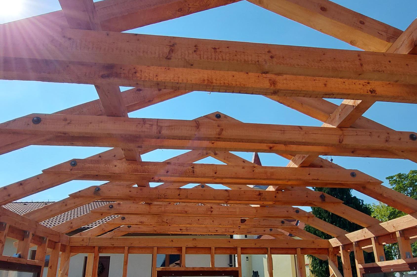 Tesař Tomáš Brendl