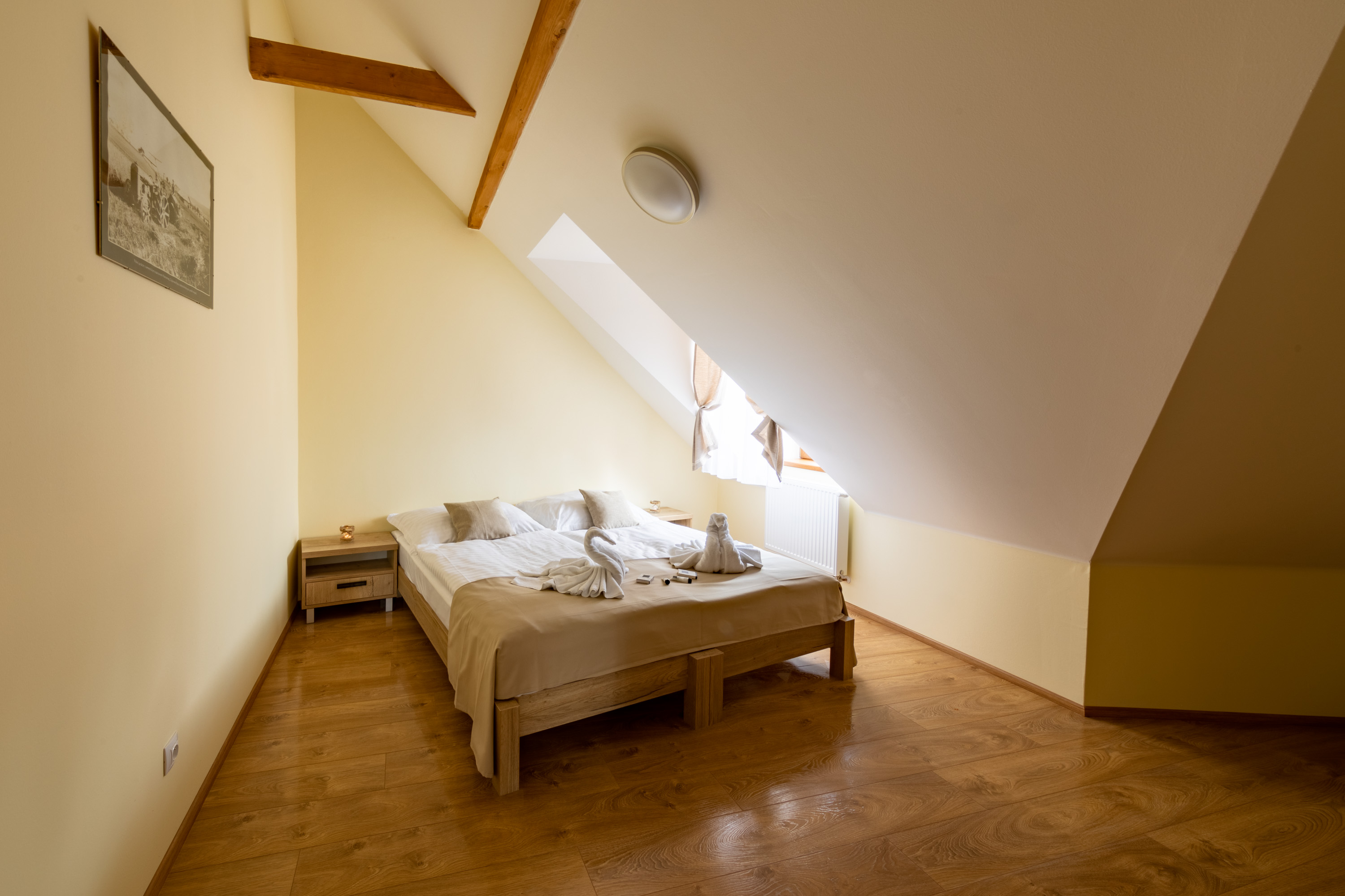 Residence Tvrz Skočice foto 5