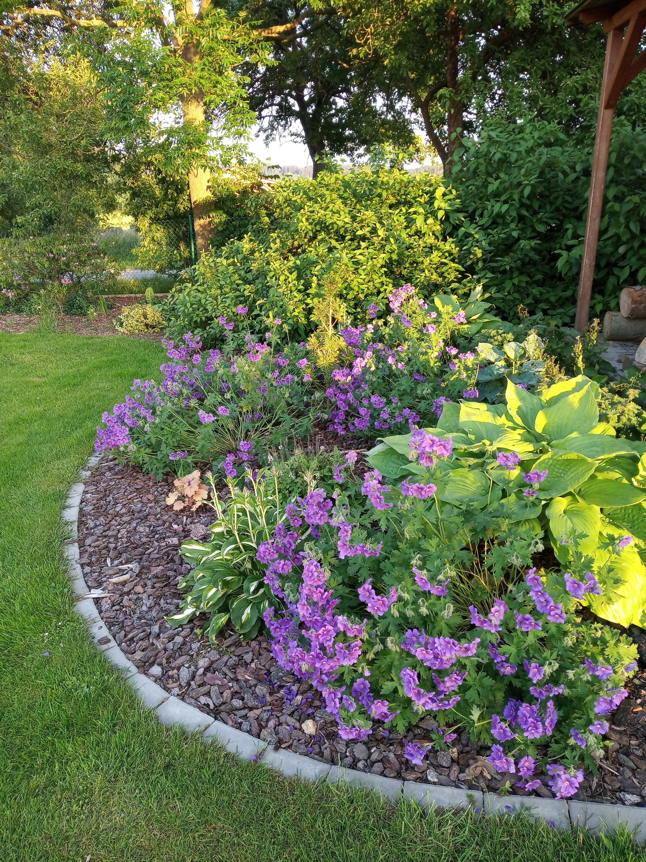 Vítězslav Novák foto 1