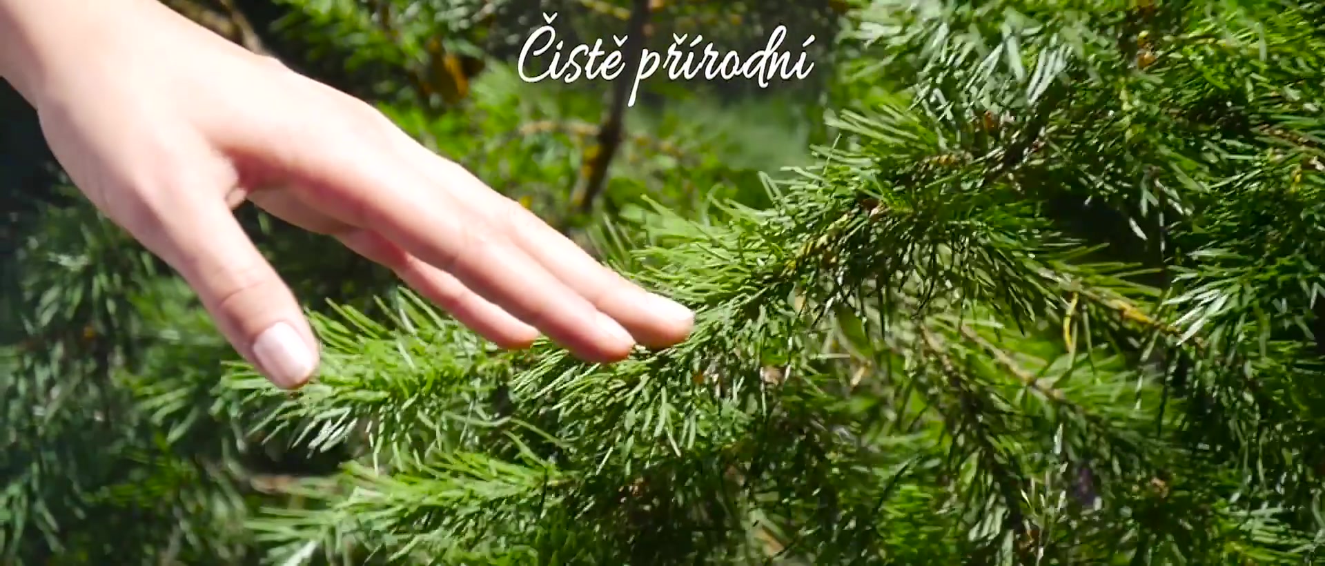 Alepiacz.cz foto 2 (náhled videa)