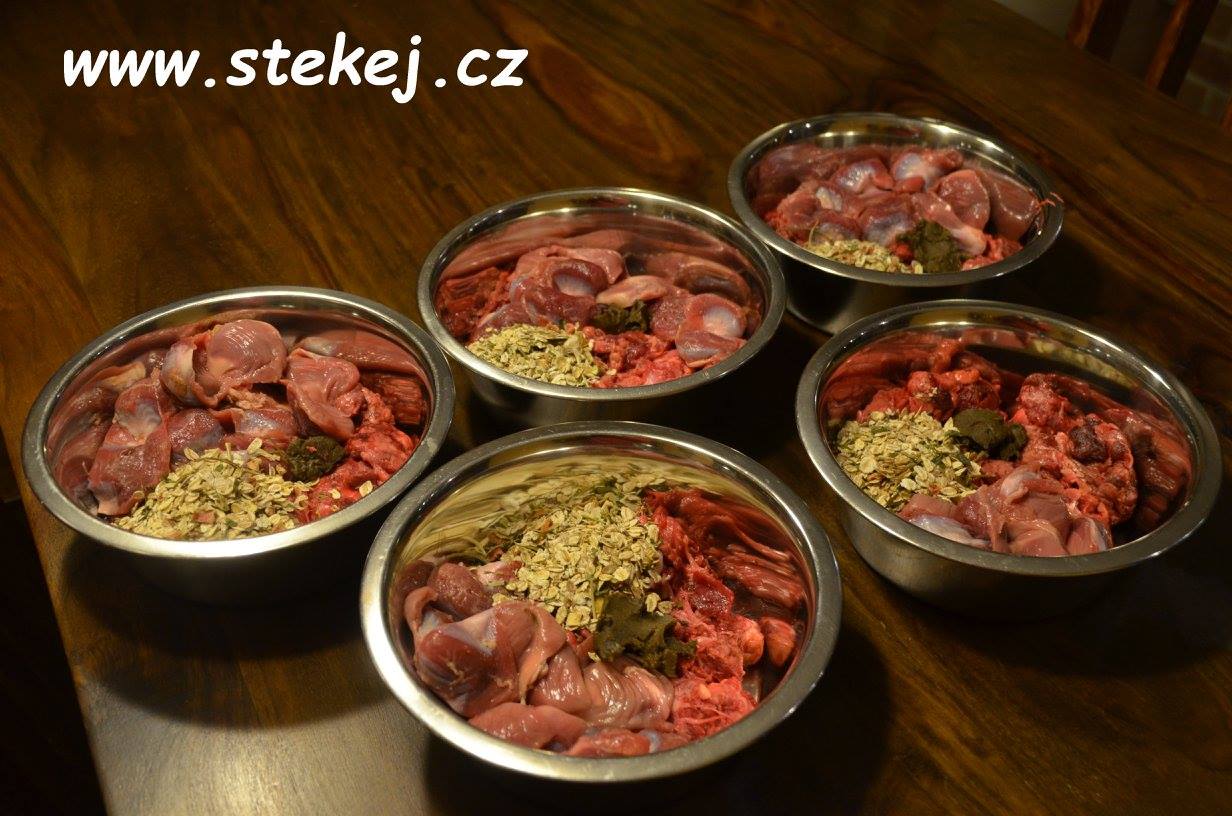 Štěkej.cz foto 3