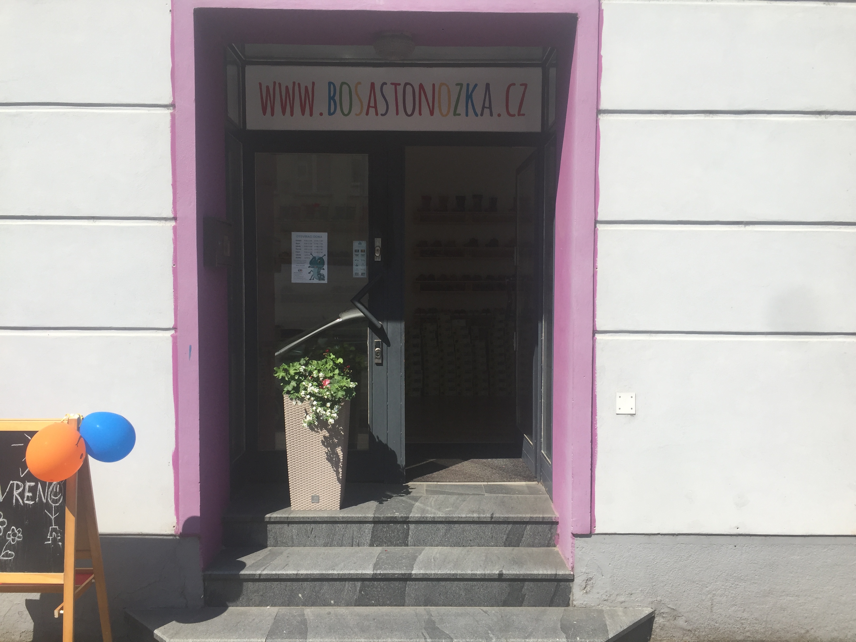 Bosá stonožka foto 2
