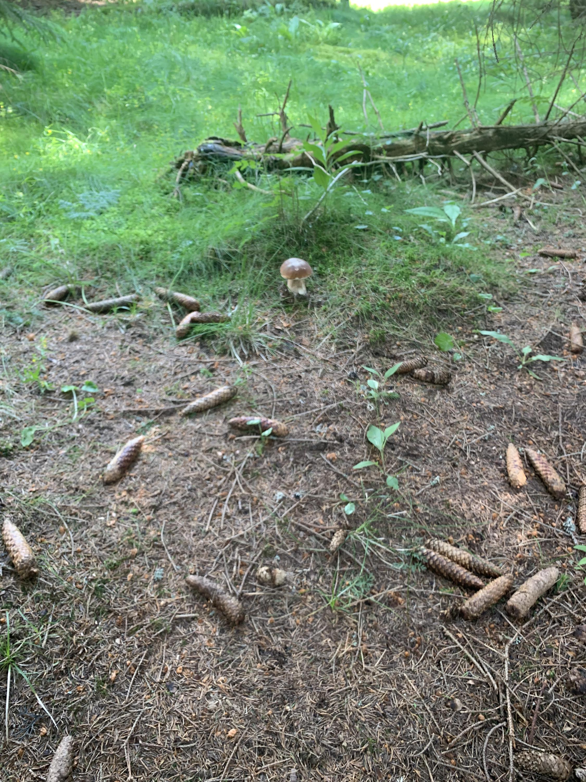 Rekreační středisko Šimanov foto 6