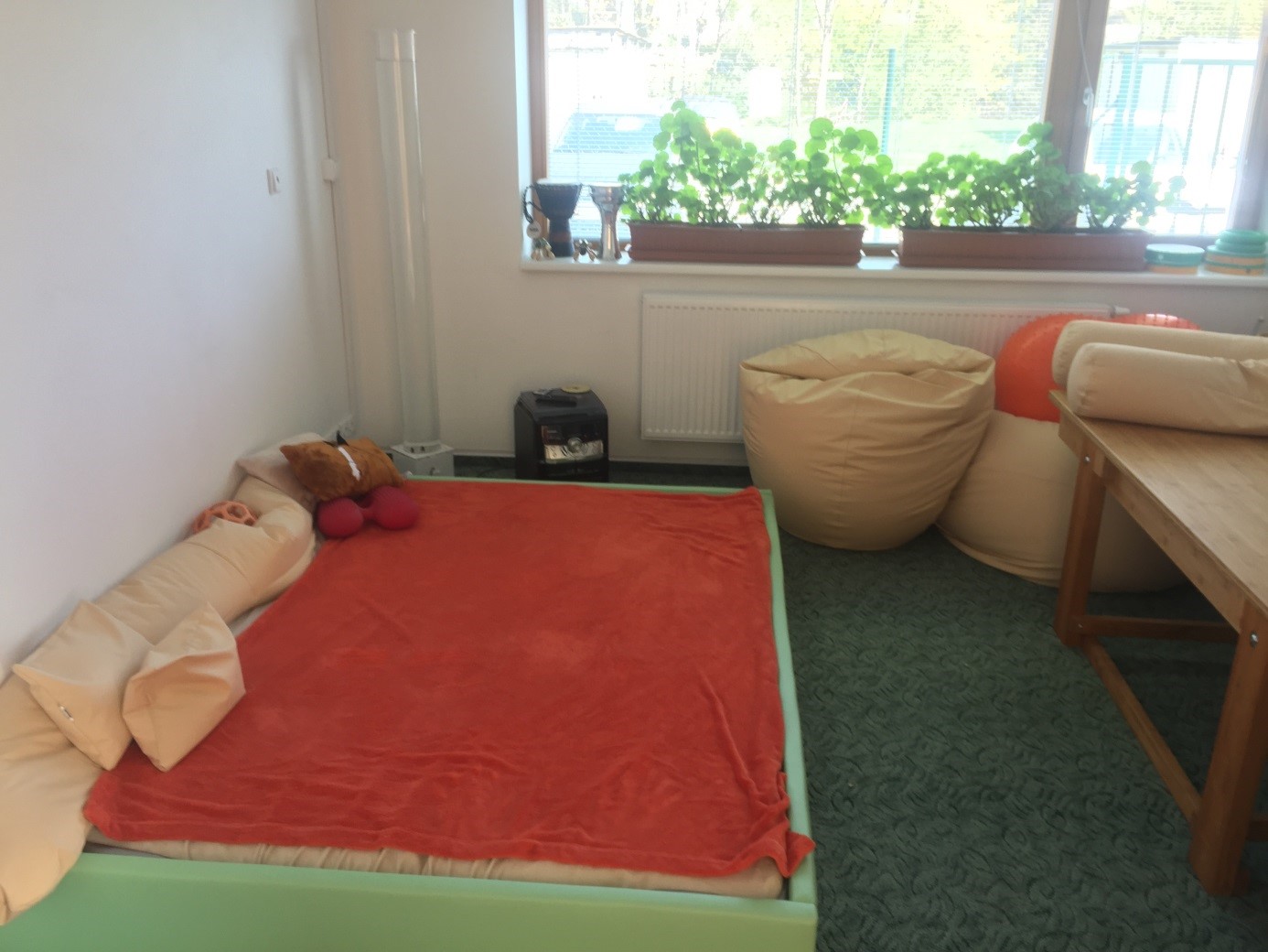 Domov pro osoby se zdravotním postižením Zašová foto 4