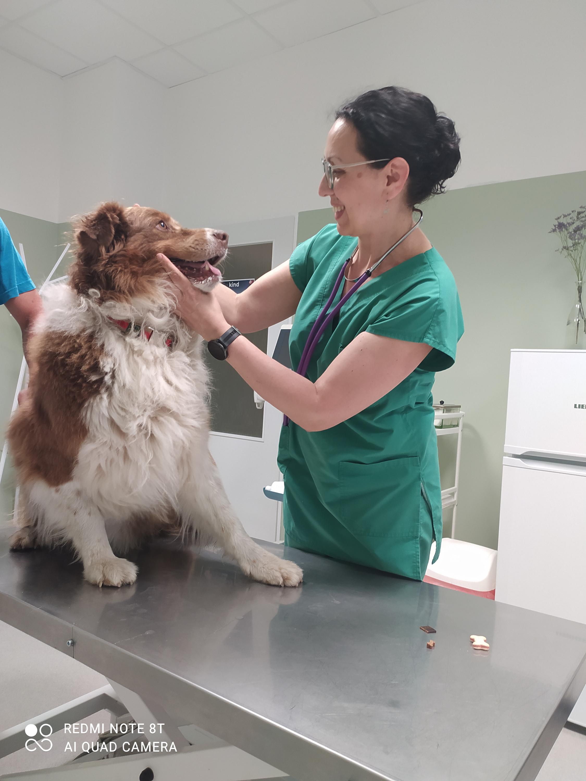 MVDr. Natalija Krčková N-VET foto 2