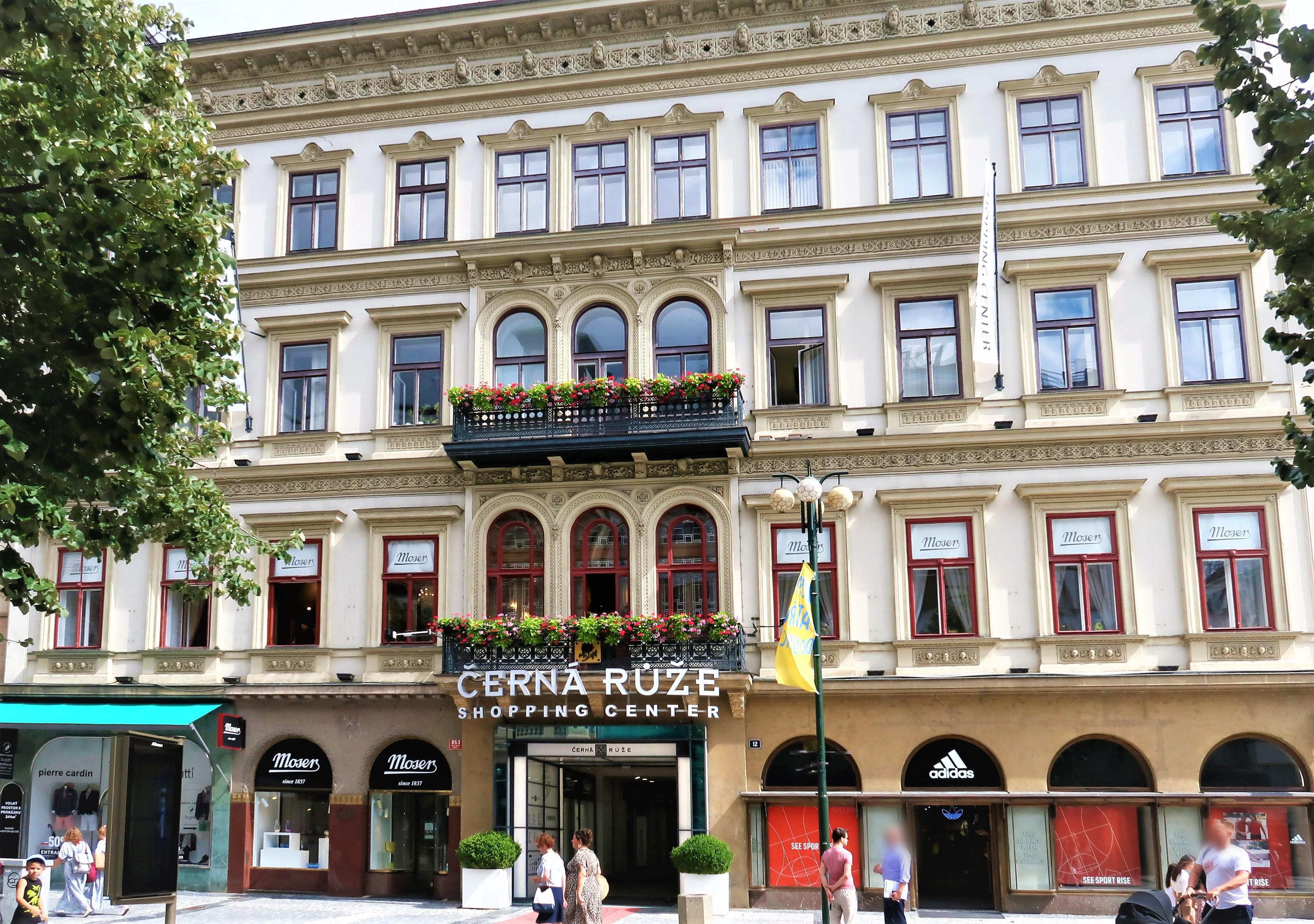Černá Růže foto 3
