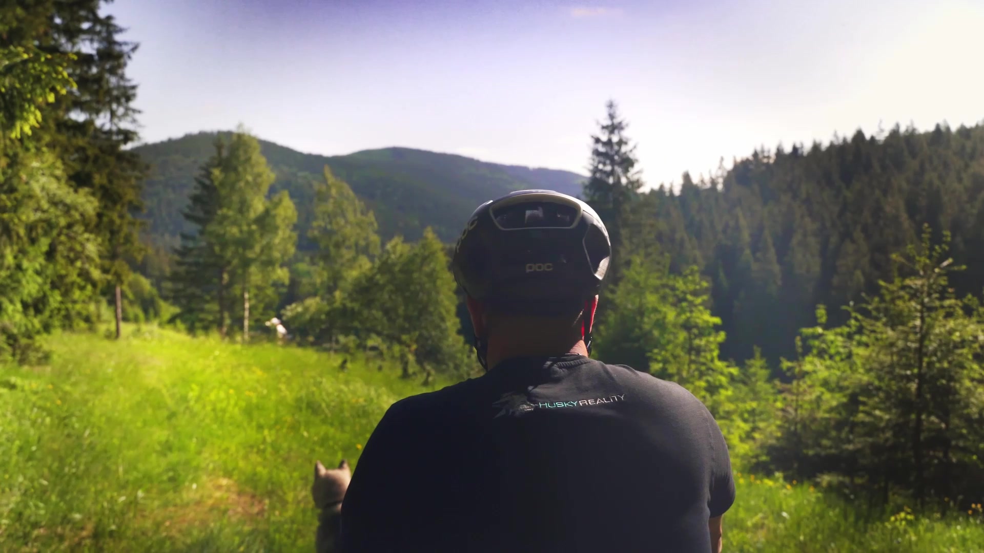 Husky Reality foto 2 (náhled videa)