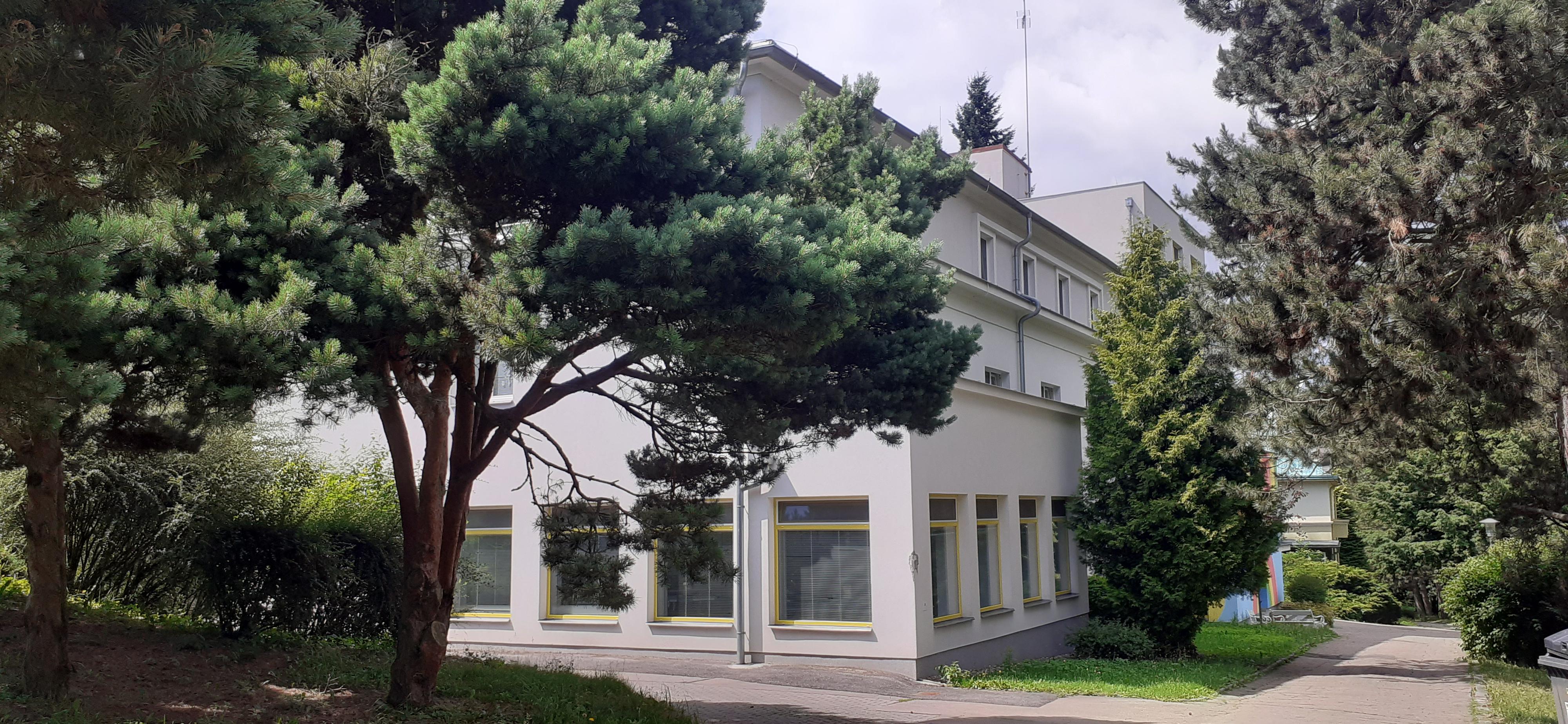 ZŠ a MŠ Hranice,  Dvořákovo stromořadí foto 2