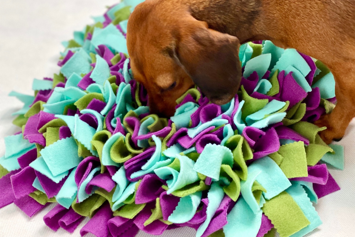 Cmuchacikoberecky.cz