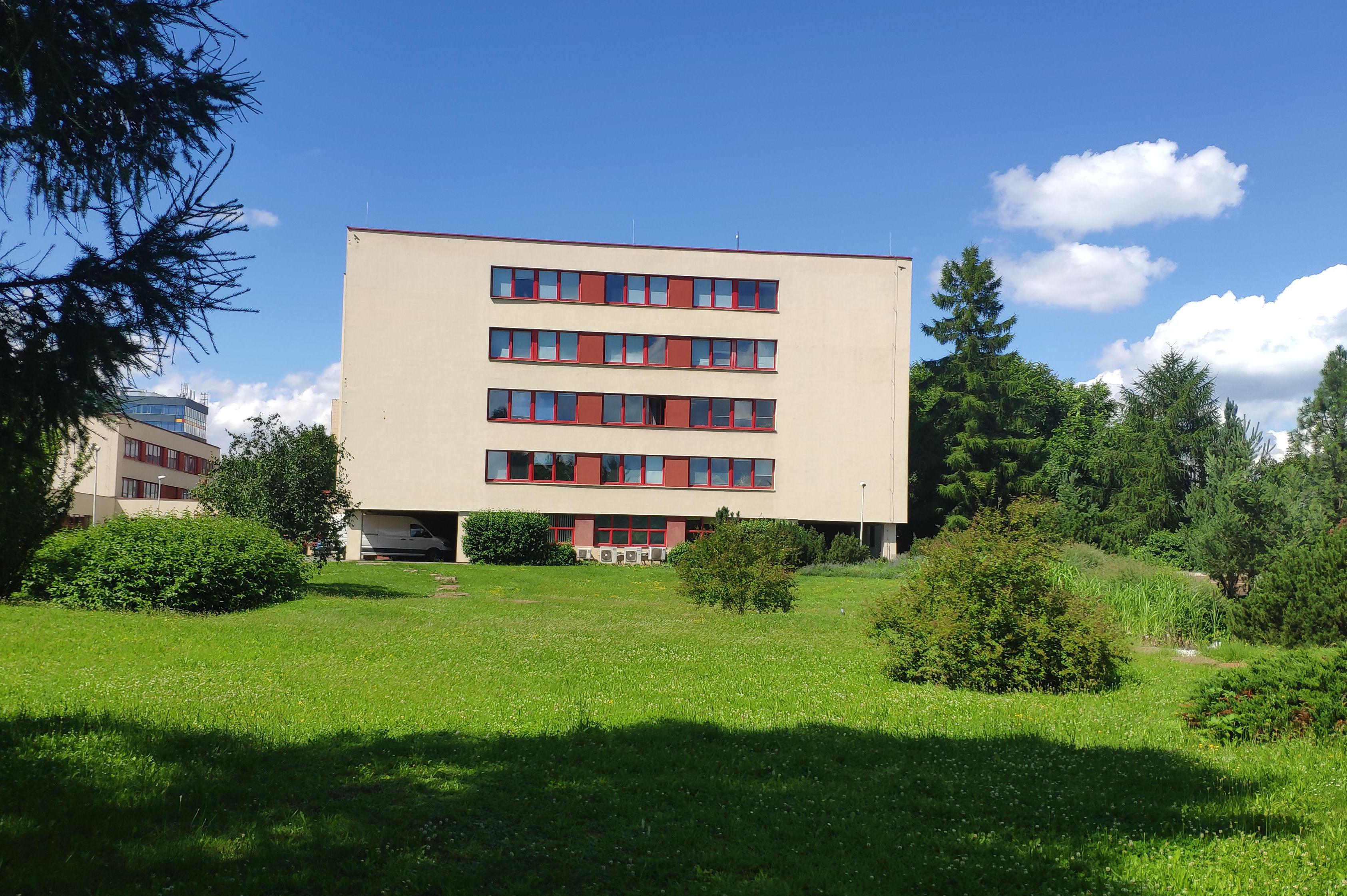 Syntea software group