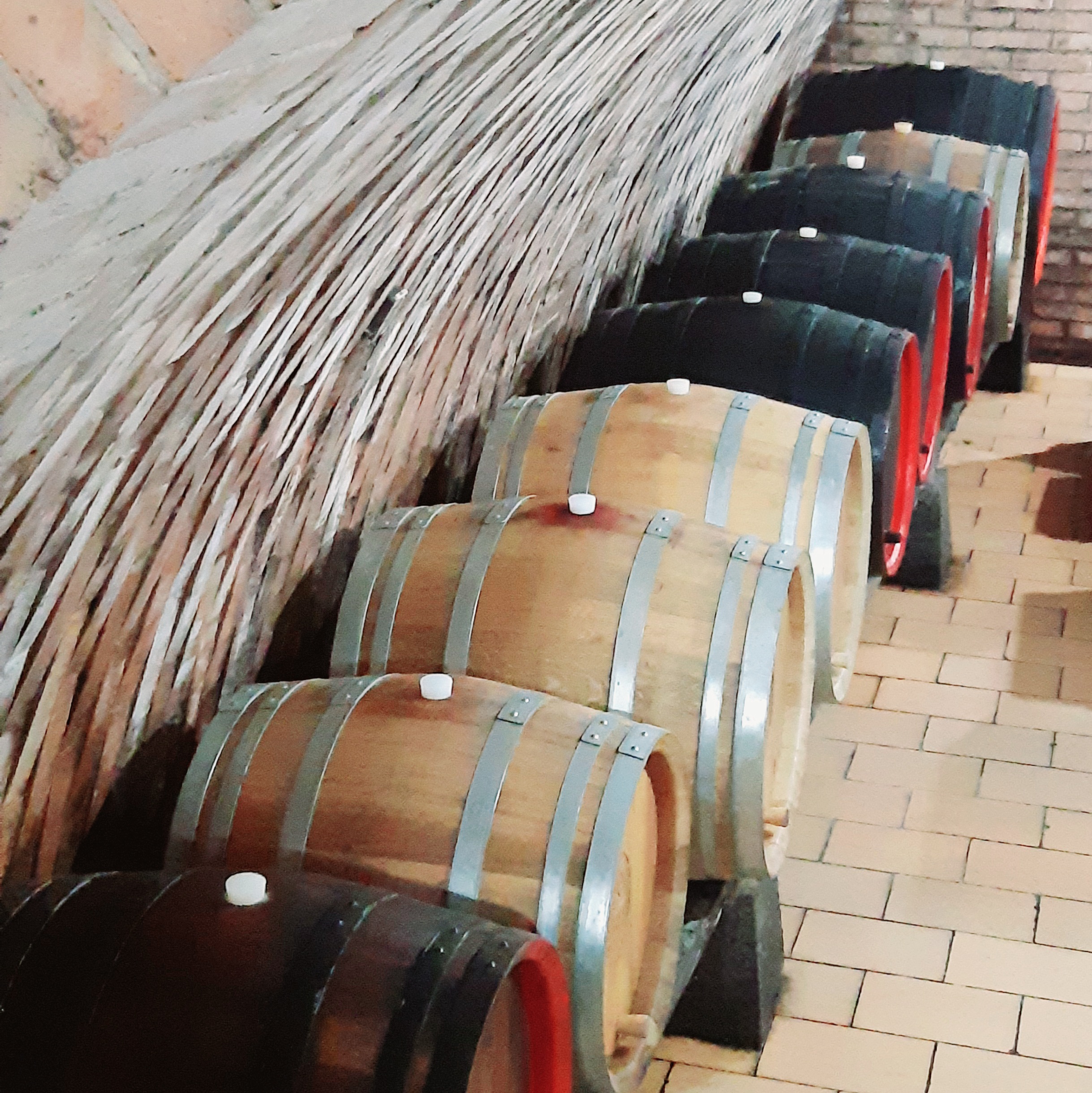 Vinařství Maláč & Dostál foto 2