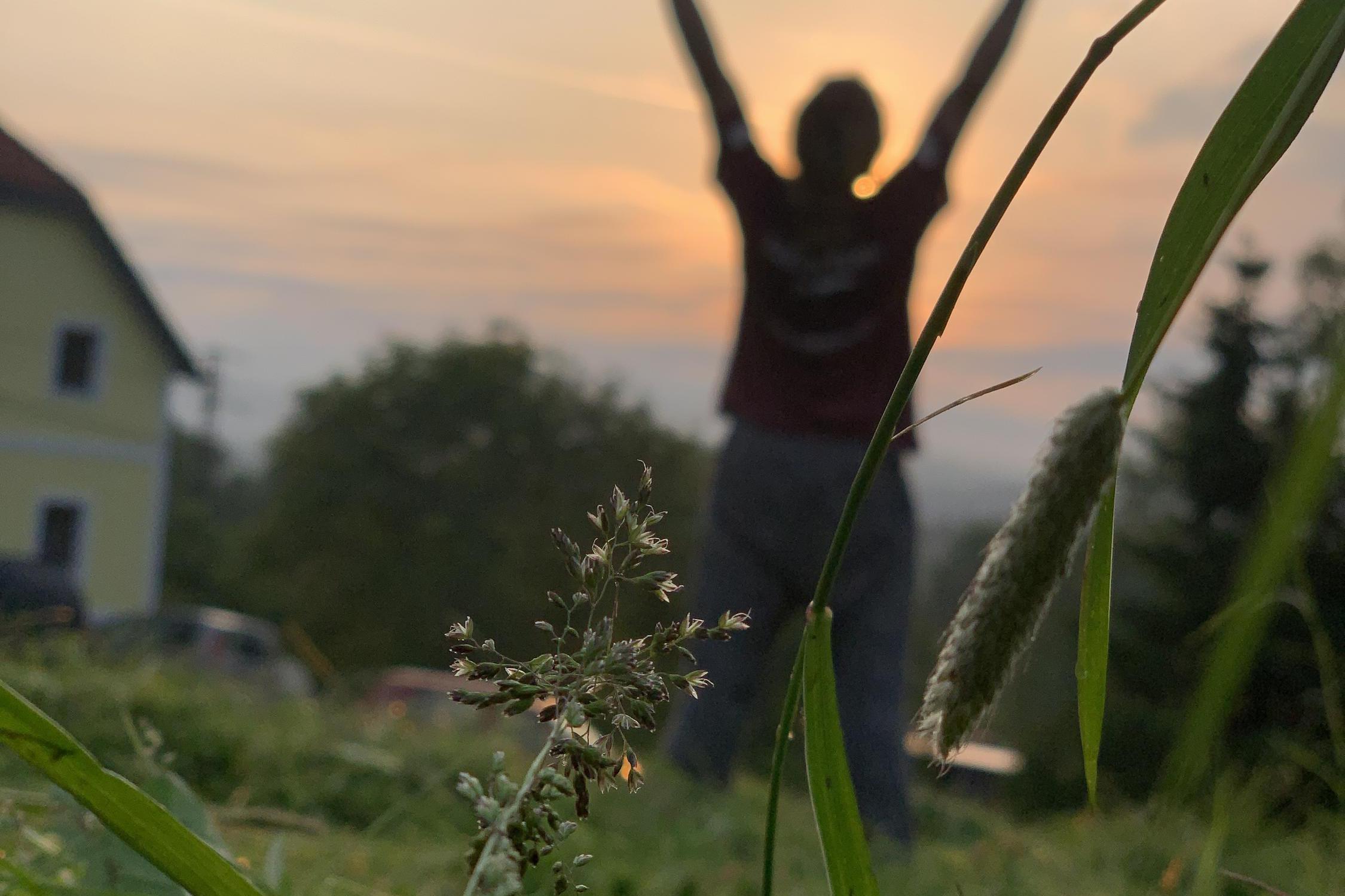 Farma David Vostrovský