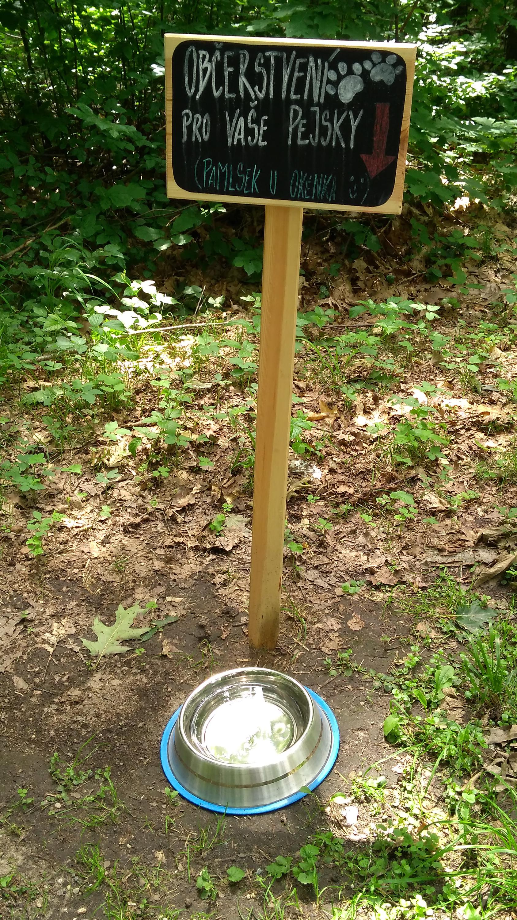 Občerstvení Bzum Bzum foto 4