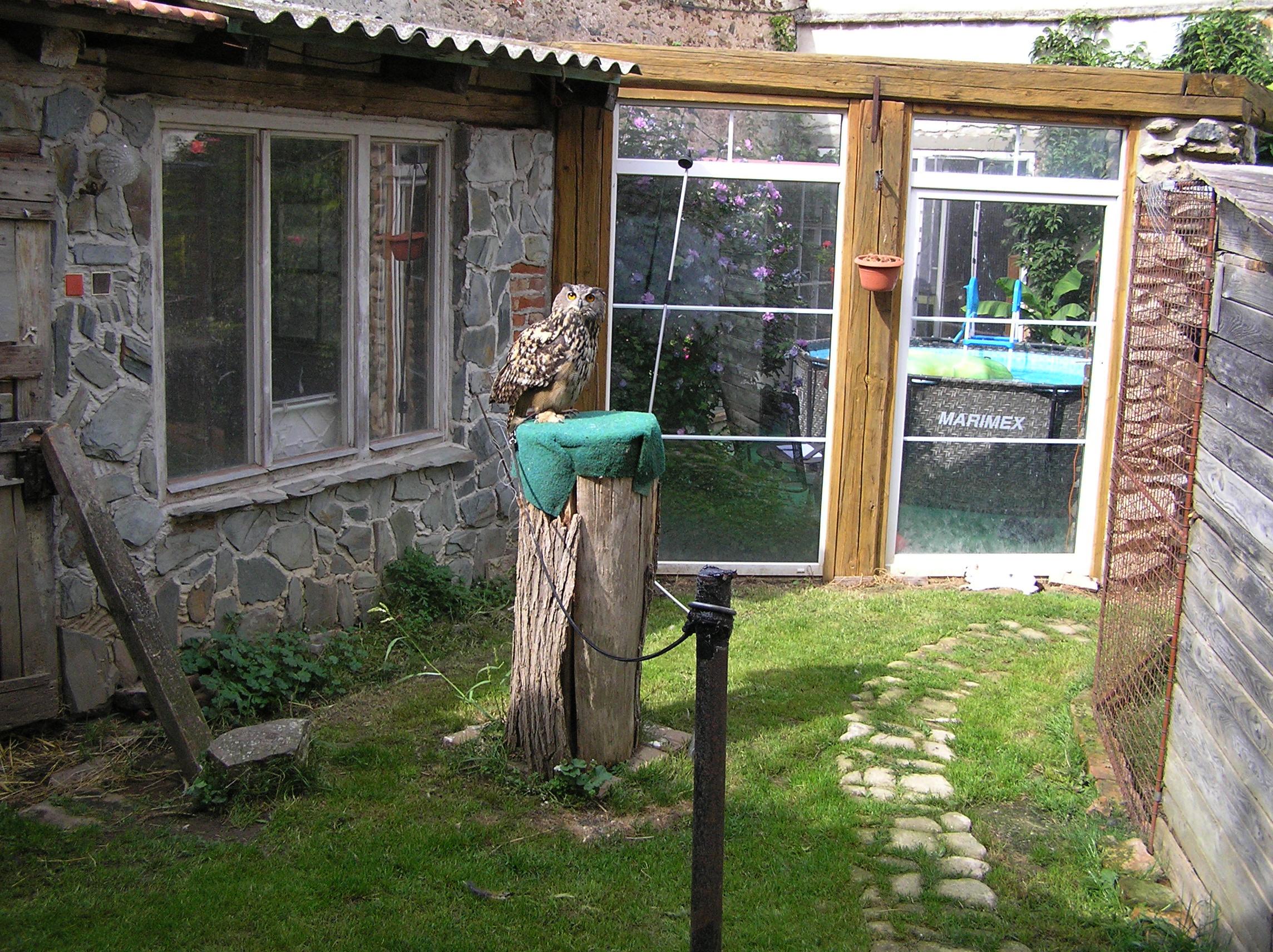 Dvorní zookoutek U Pipinga foto 5