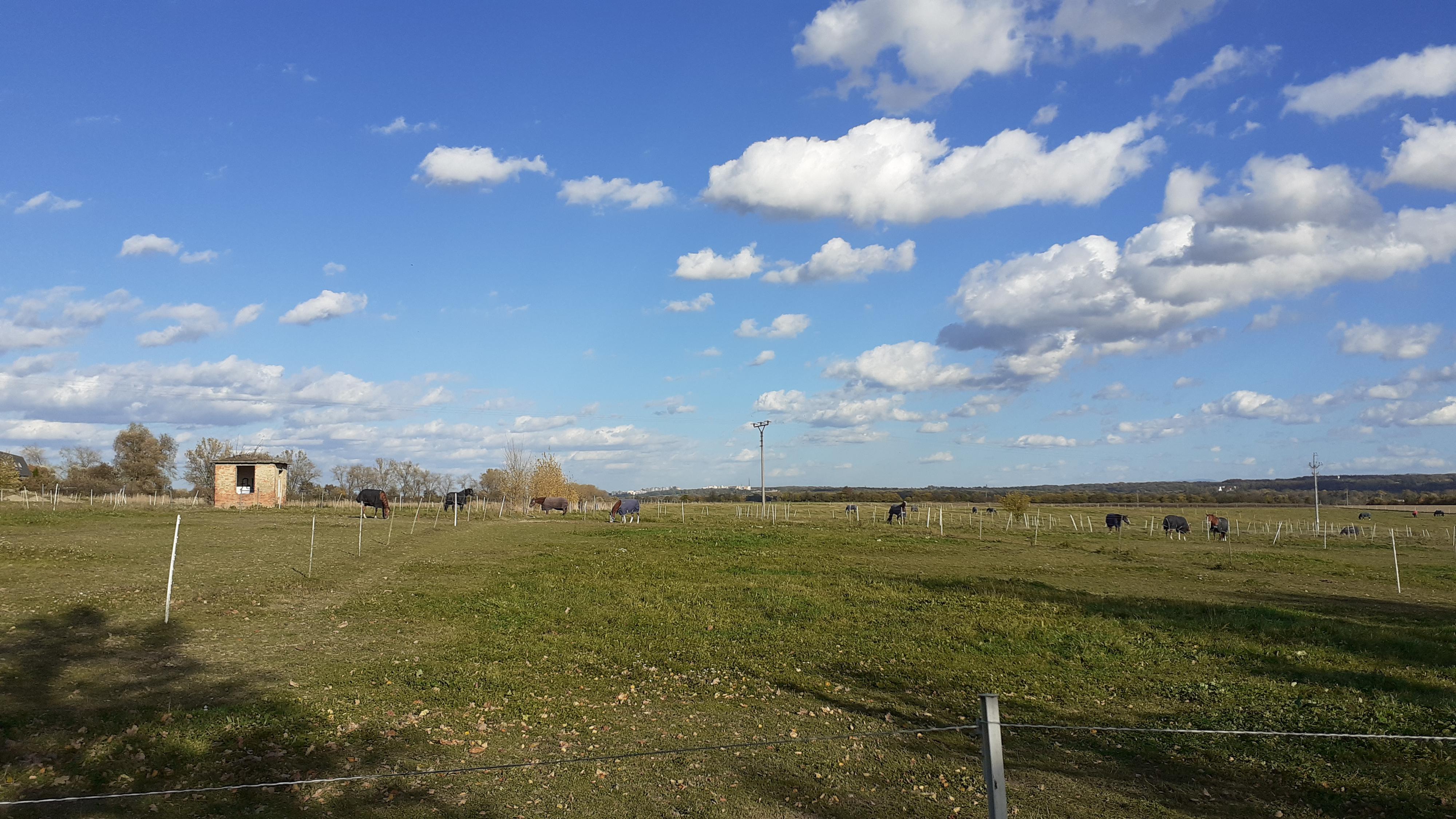 Bujnoch Ranch foto 2