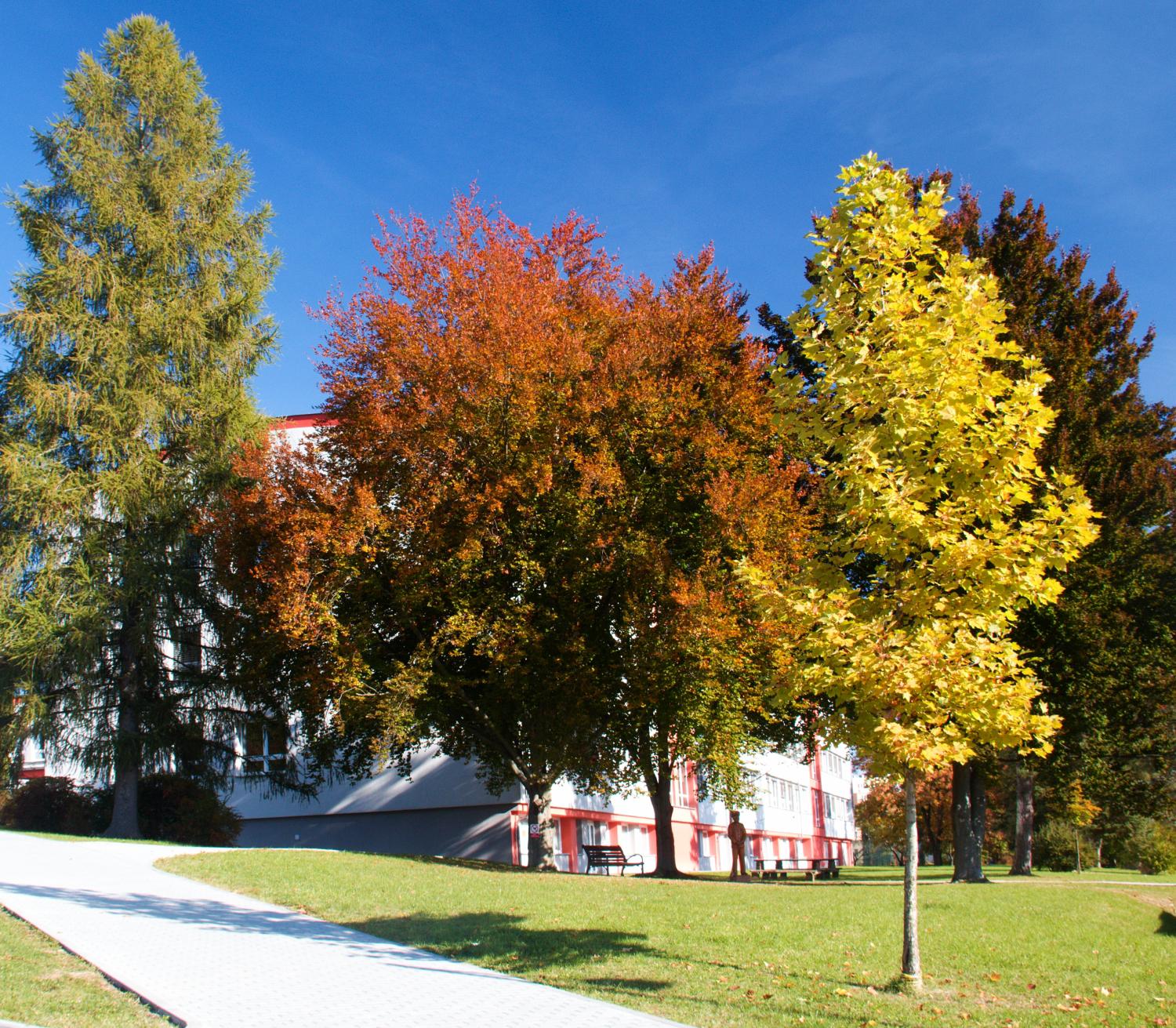 Základní škola Valašské Klobouky foto 5