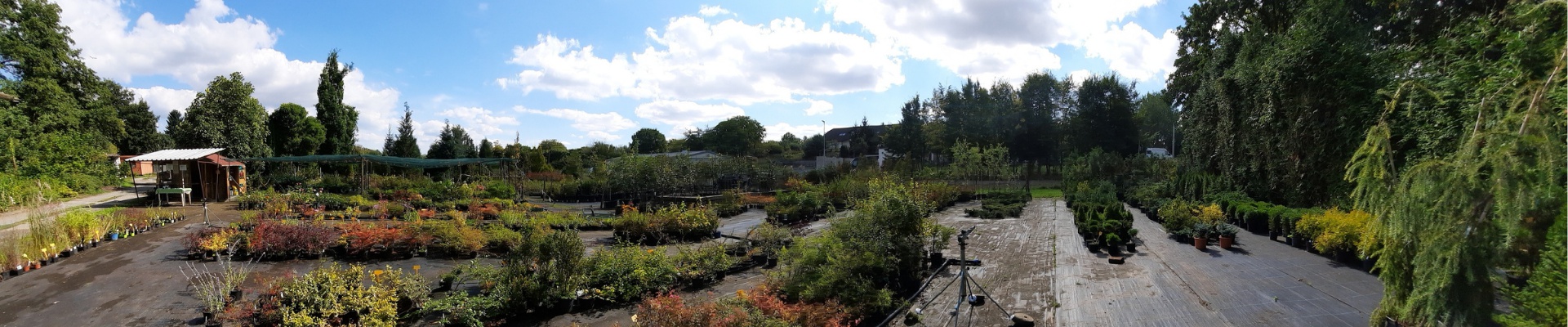 Úvodní obrázek ARBO - zahradnictví, s.r.o.