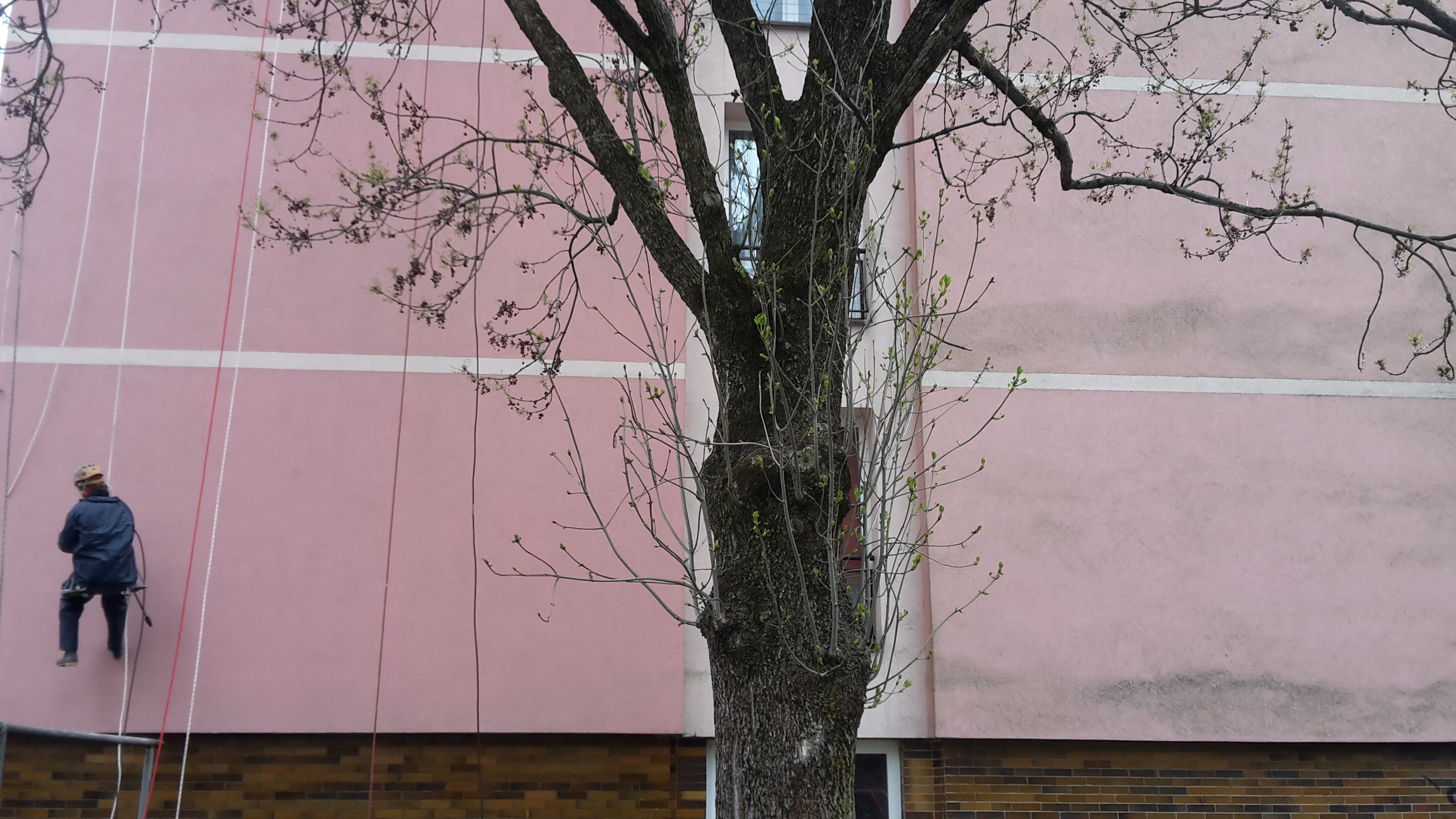 Nátěry Fasád Martin Svobodník foto 3