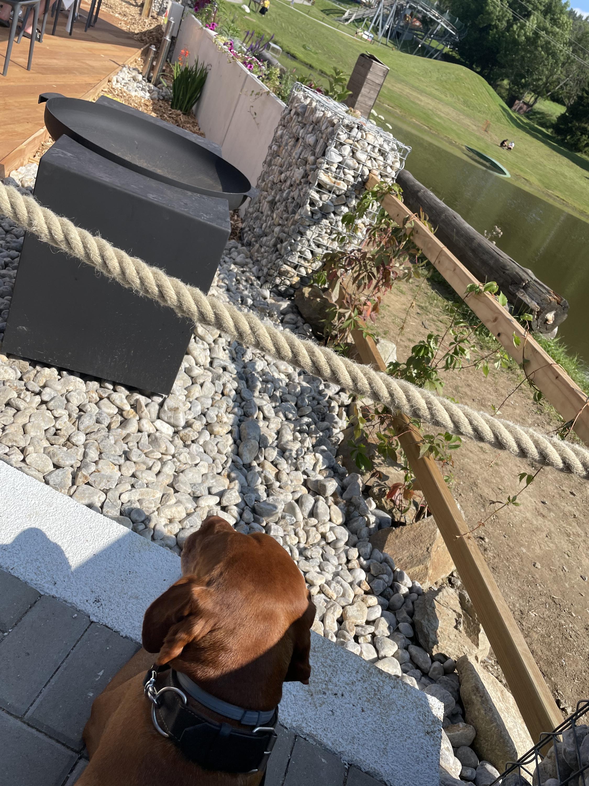 Ski Caffe Lipno nad Vltavou foto 4