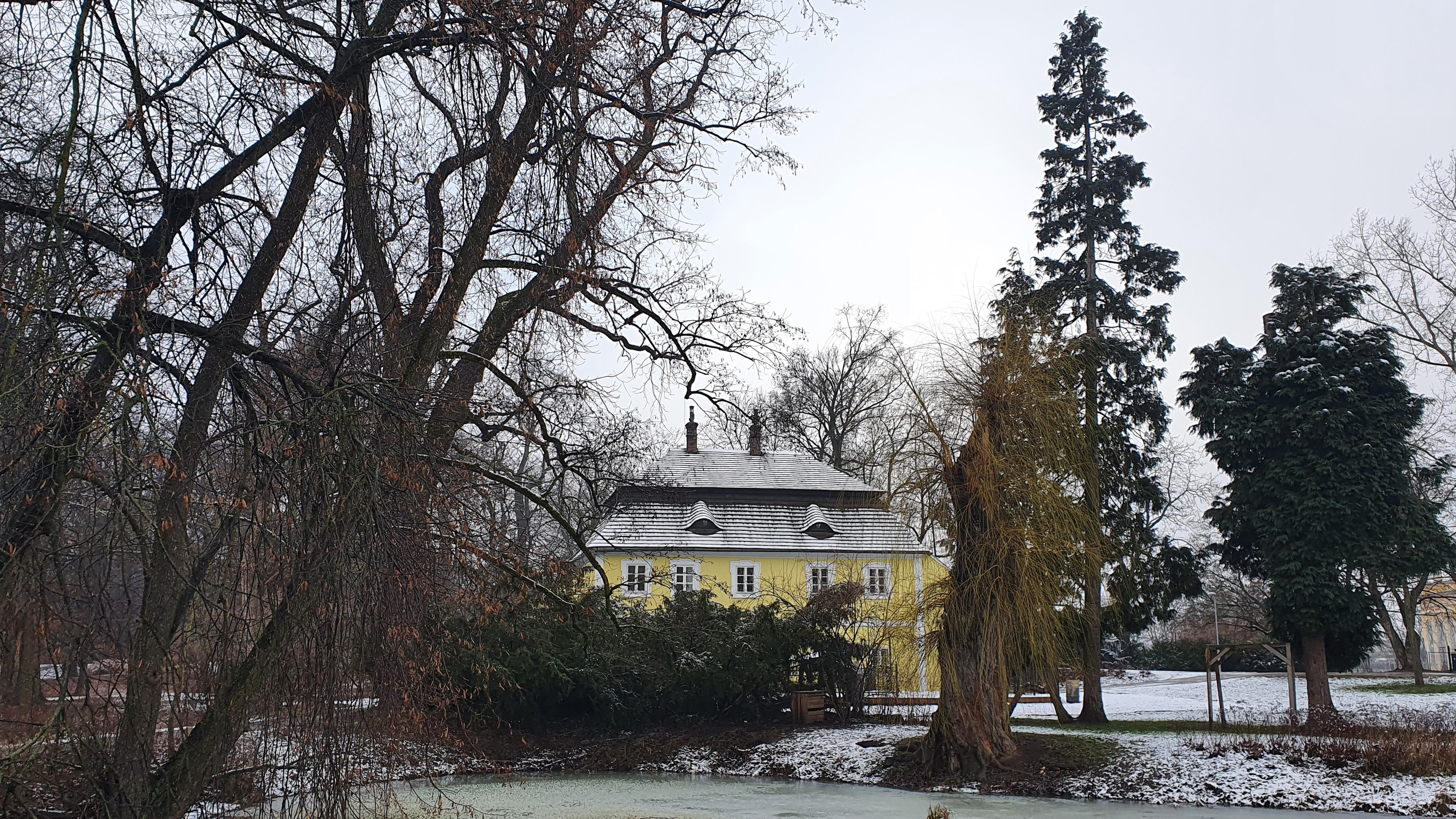 V parku foto 6