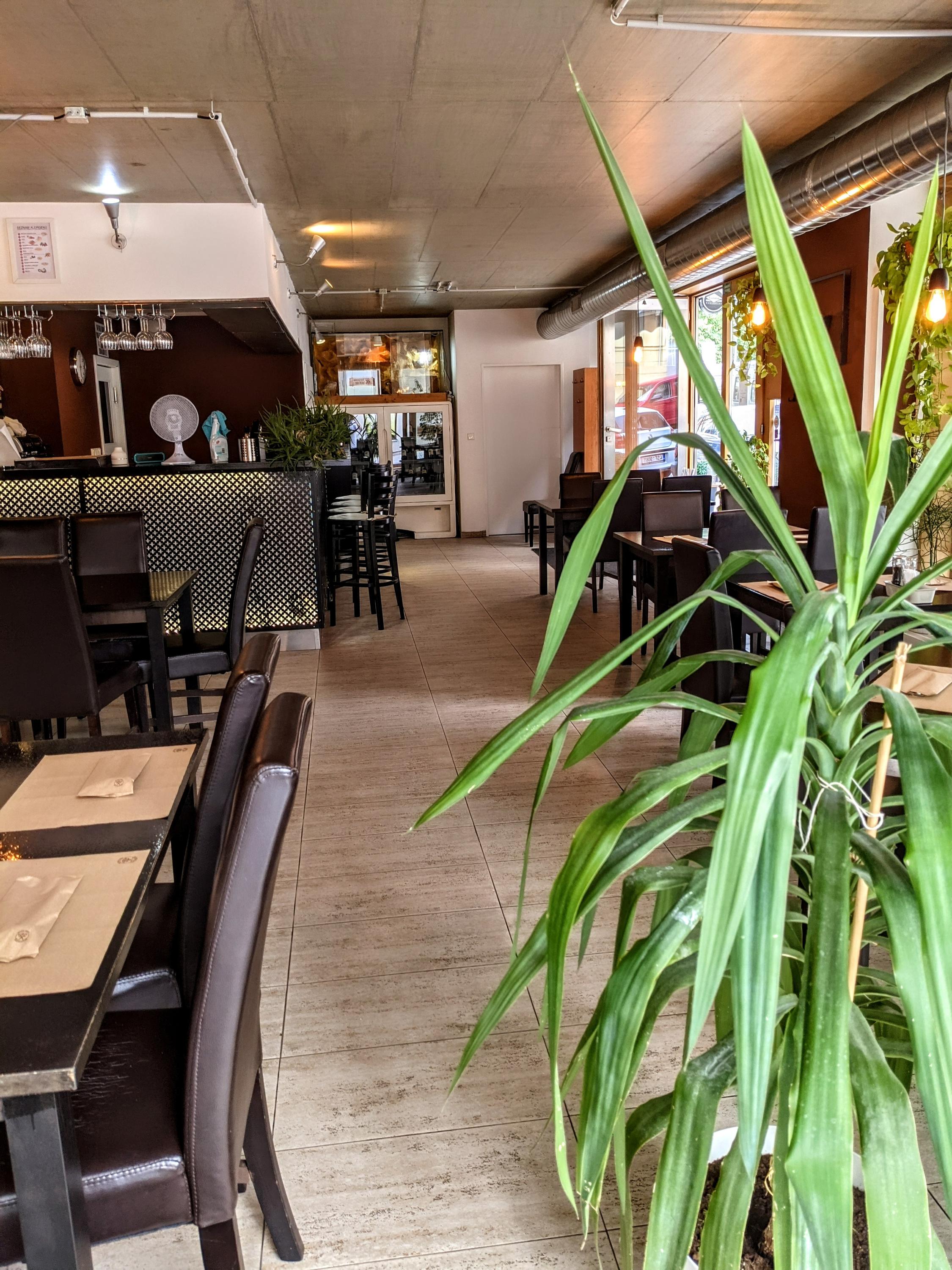 Restaurace U Agamy - gluten free foto 3