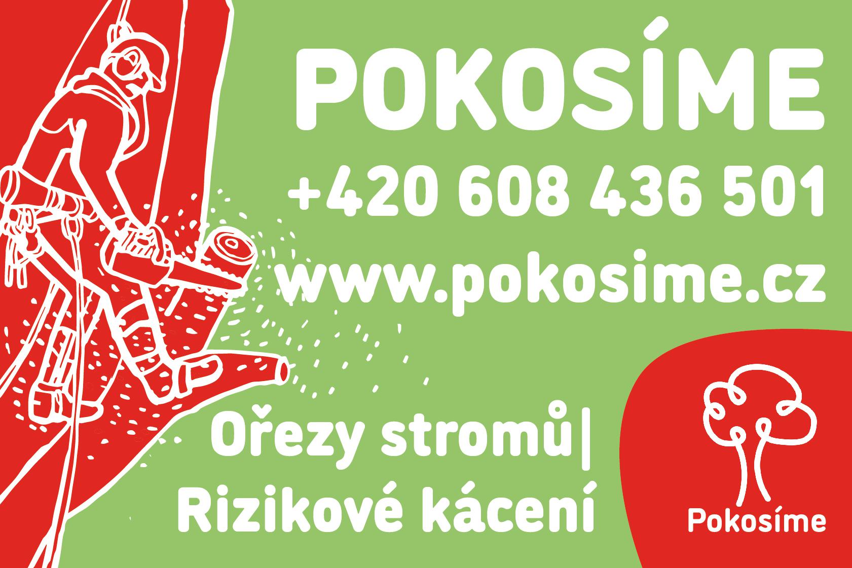 Rizikové kácení