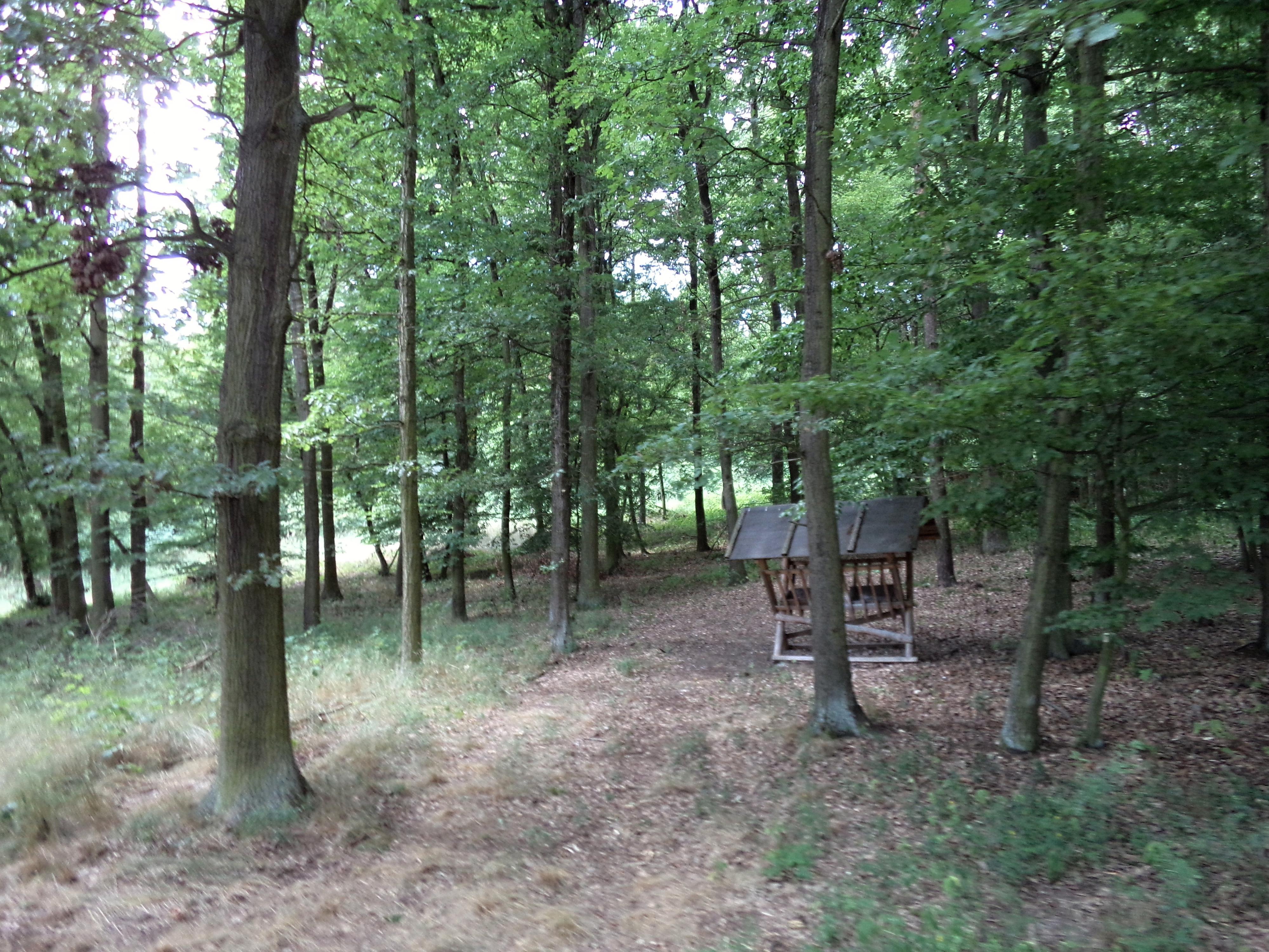 Farma Bojov - JK Paganini foto 6