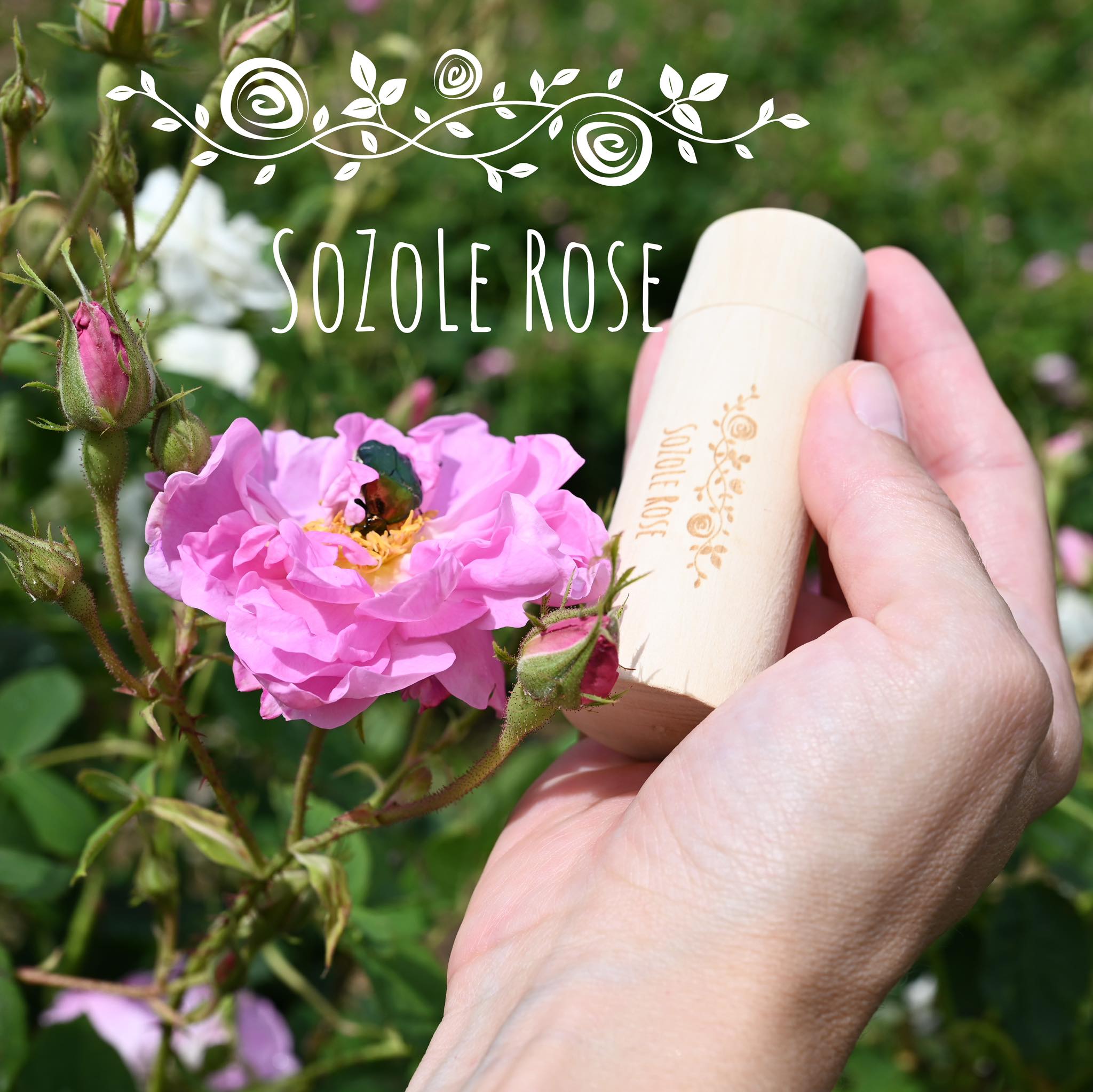 SoZoLe Rose, s.r.o. foto 2